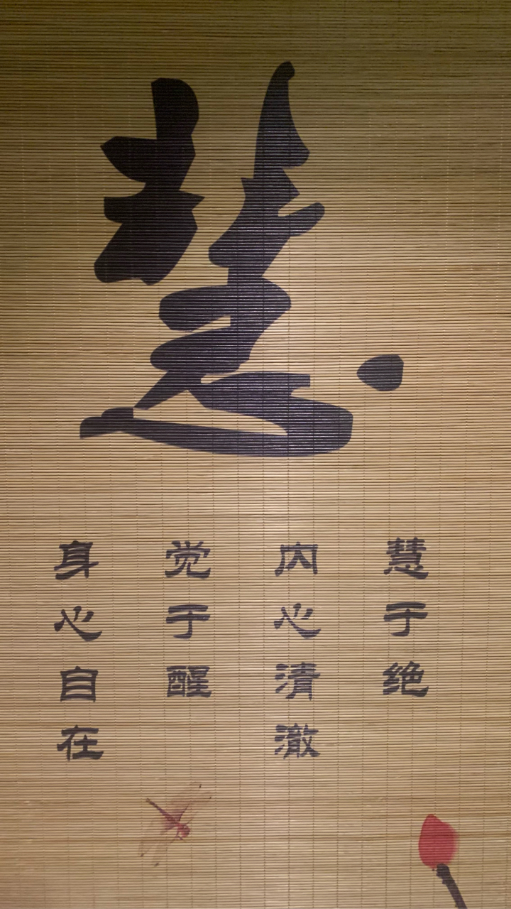 随心而行,凭性而动!2023年从容前行!