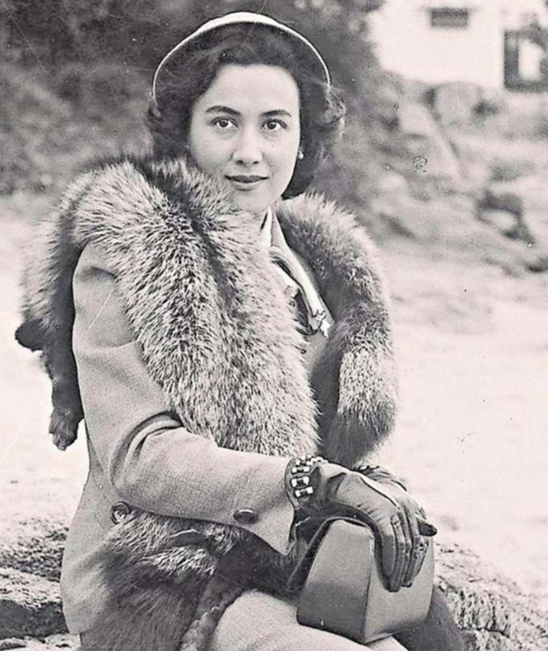 黎婉华问何鸿燊:"当年你娶我,究竟因为爱我,还是因为我父亲的身份?