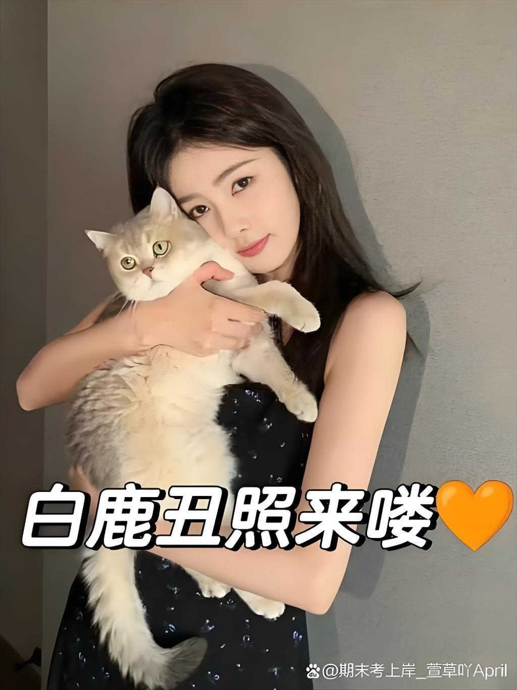 白鹿搞怪表情包曝光,粉丝直呼可爱又好笑