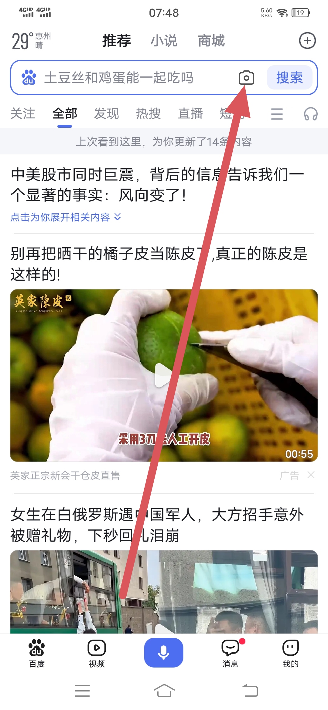 百度识图(朱槿花78)