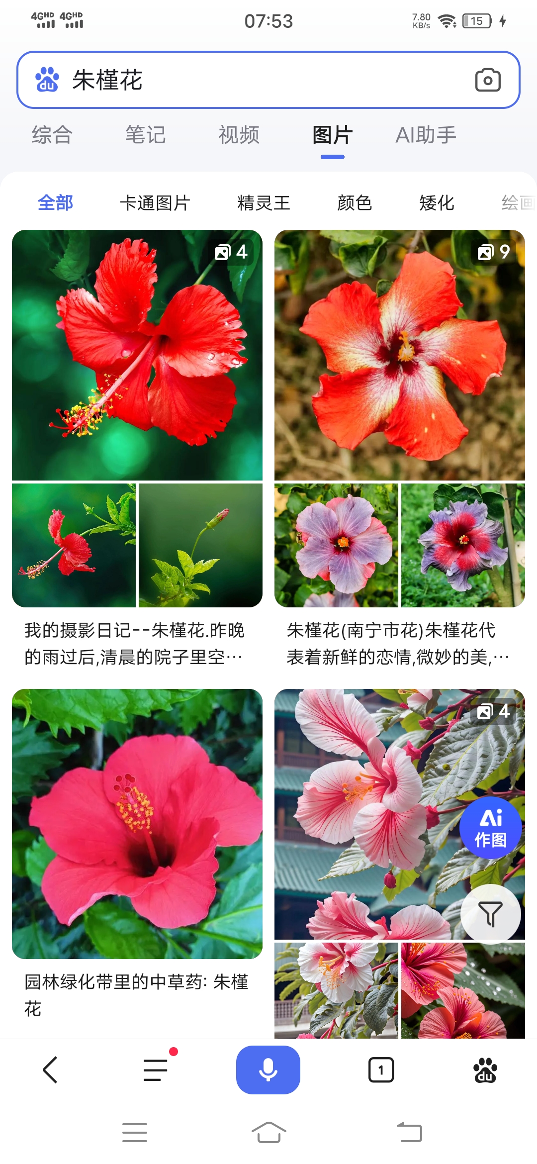 百度识图(朱槿花)