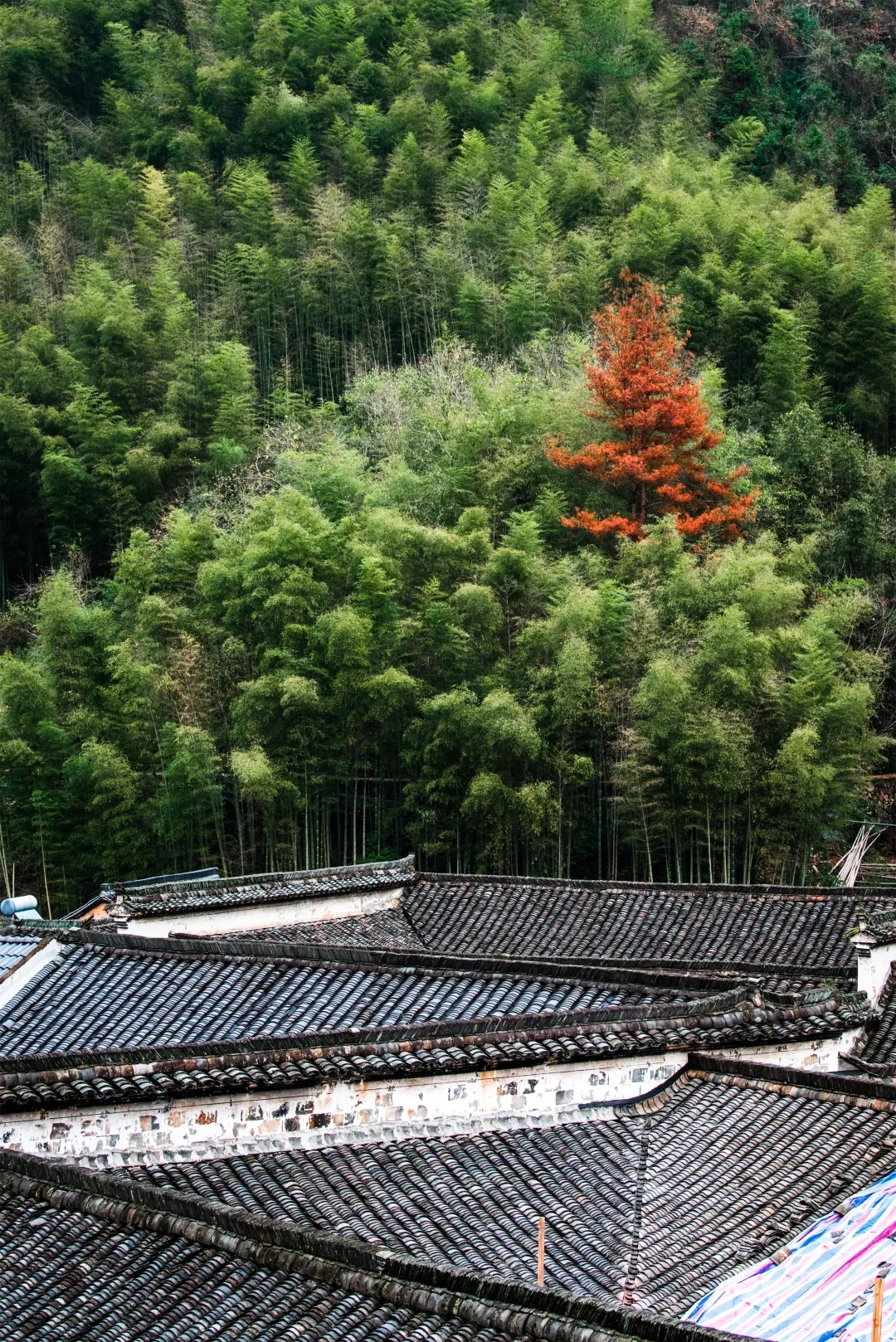杭州桐庐芦茨湾友缘民宿,位于富春江慢生活区,门口可以游泳,划船,爬山