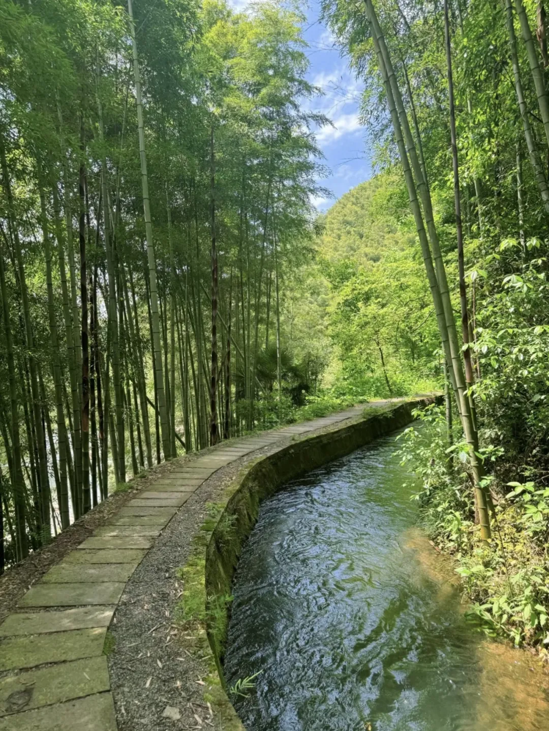 杭州桐庐芦茨湾友缘民宿,位于富春江慢生活区,门口可以游泳,划船,爬山