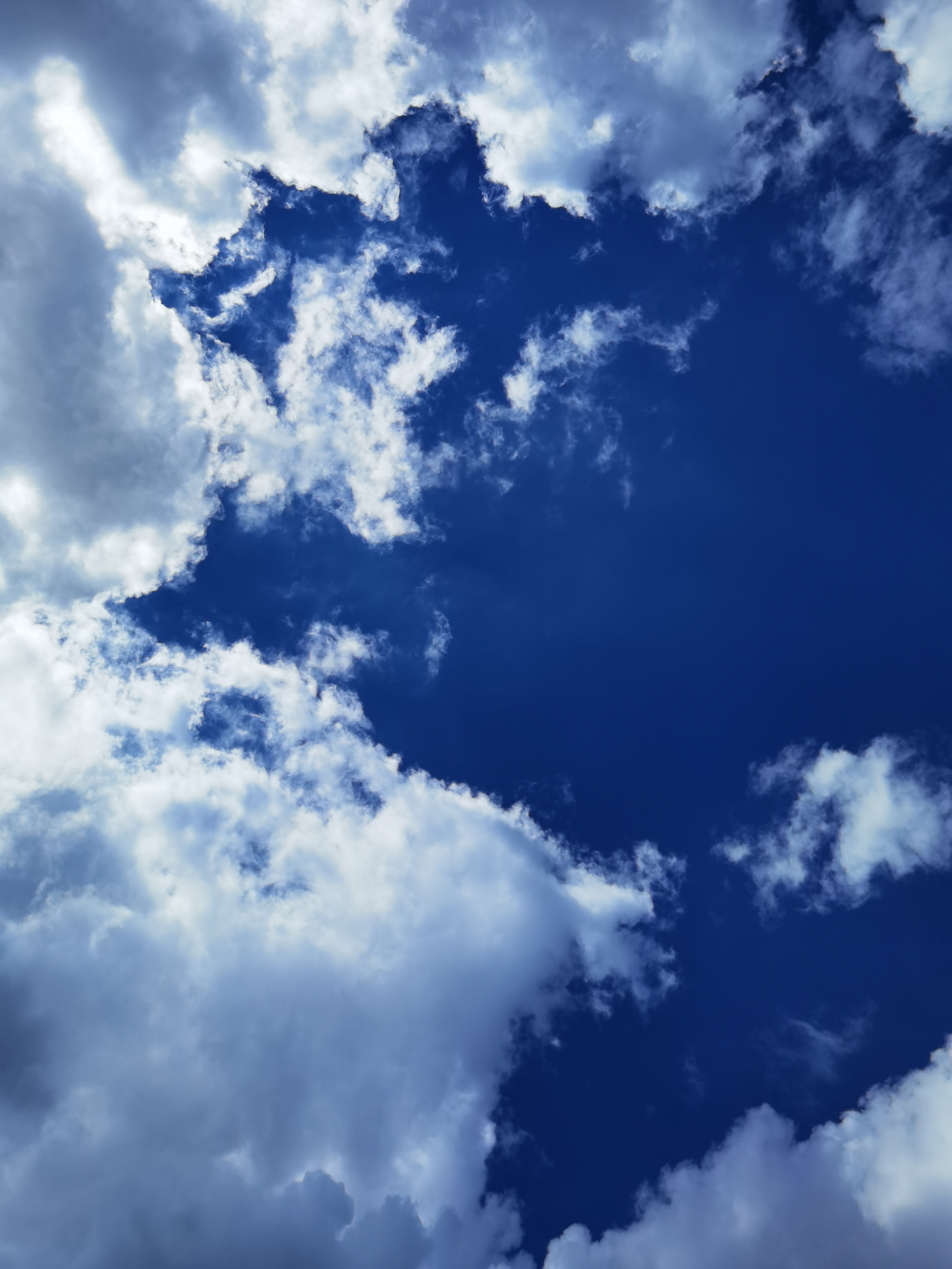 昆明啊,这天气真是变幻莫测,一会艳阳高照,一会又阴雨绵绵.