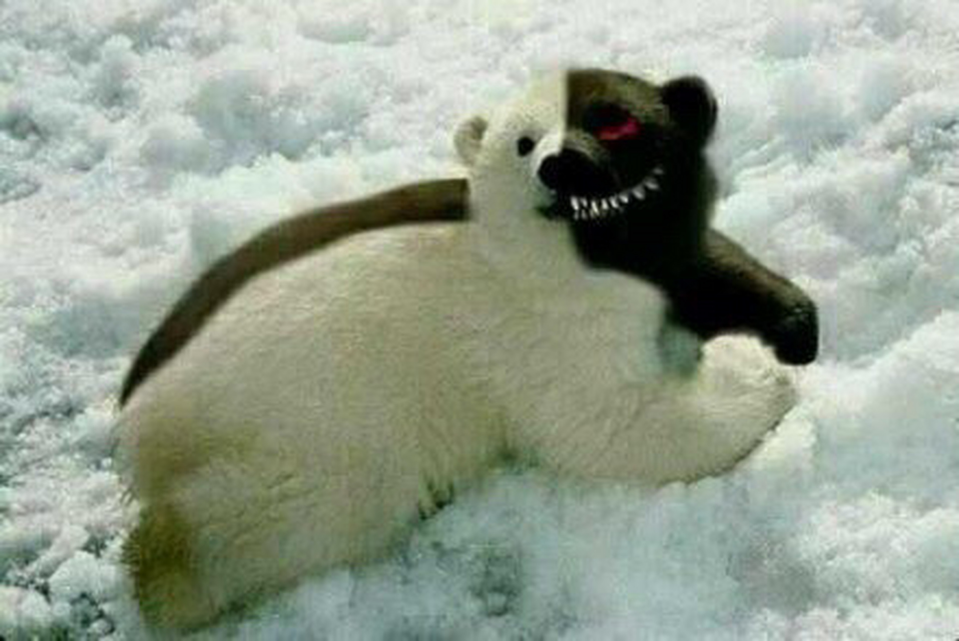 cheaper2.work 禁漫天堂 自己下 自己看 自己找