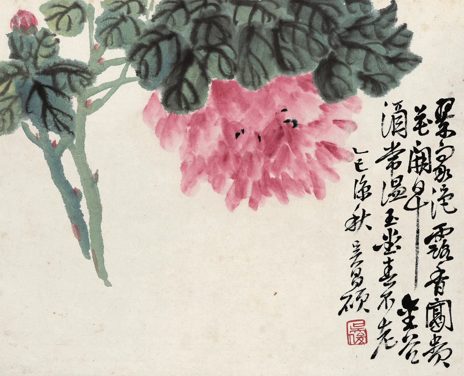 吴昌硕花鸟小品.