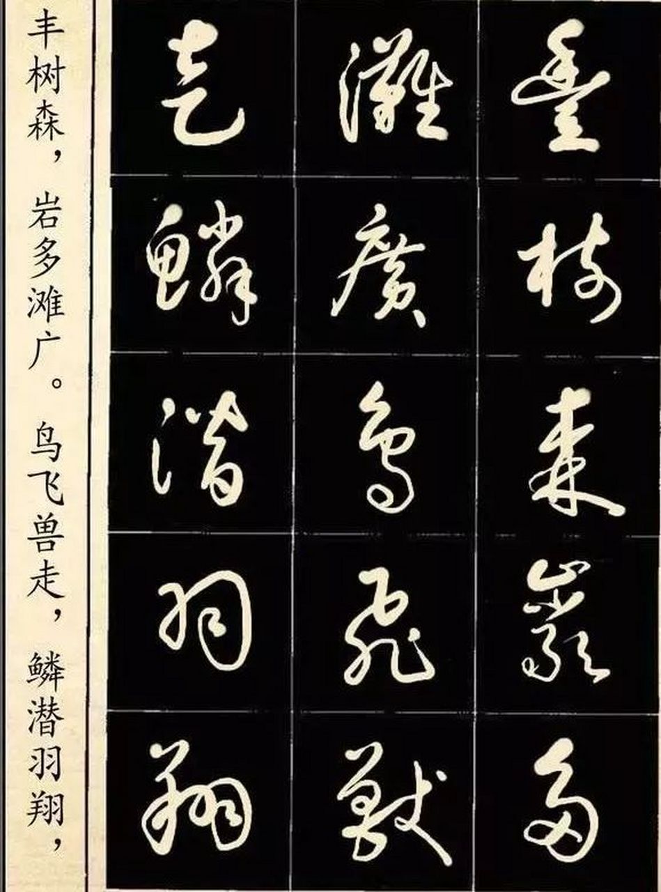 当代著名书法家高进的草书《中华字经》局部.