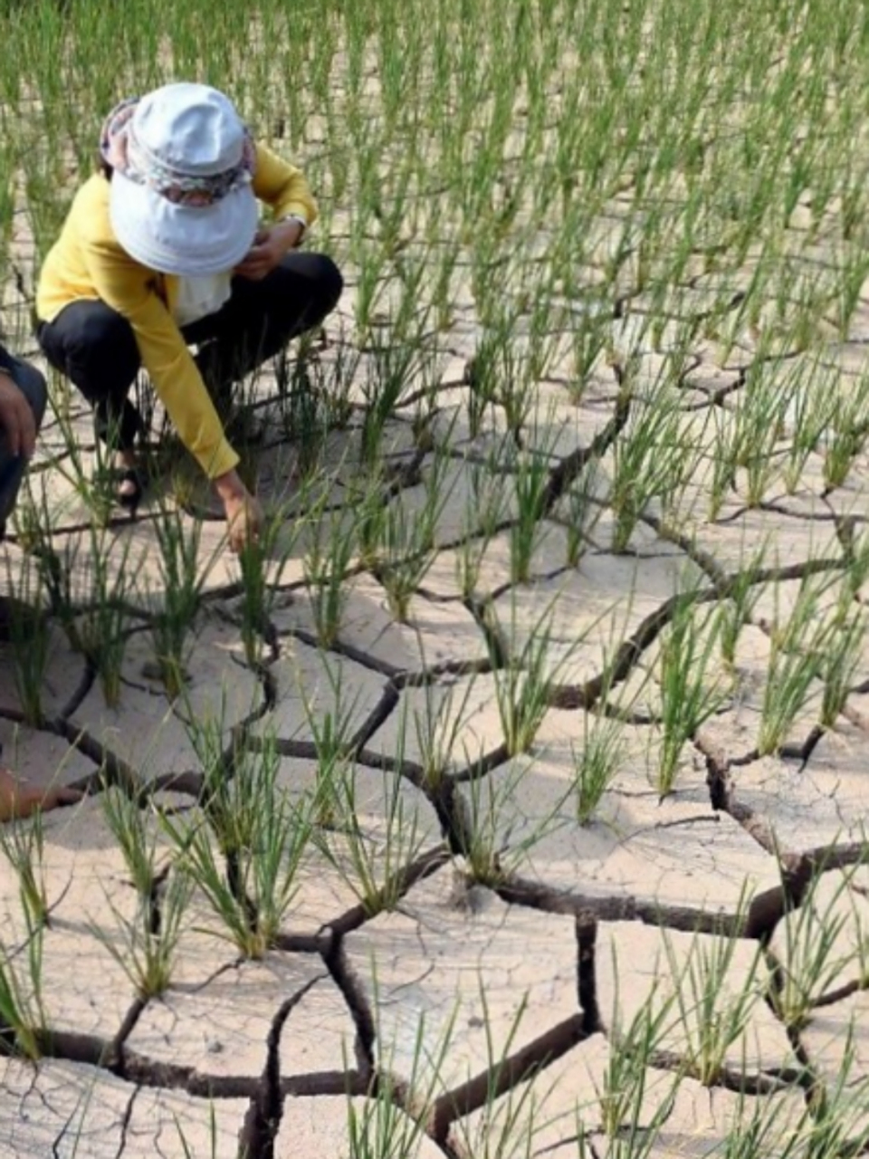 优质的抚仙湖水能动用吗?