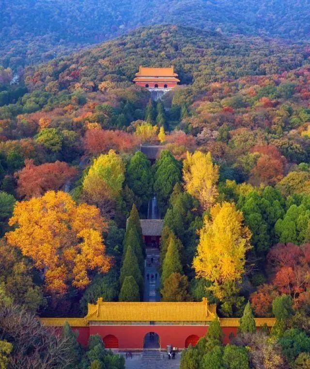 秋色起,你还去栖霞山,鸡鸣寺人挤人吗?