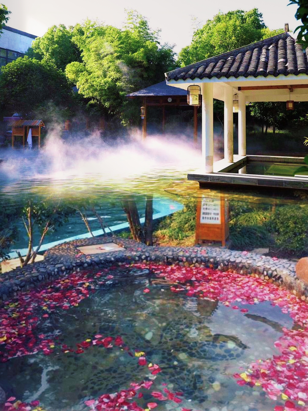 相比于大家匆忙地前往安徽皖南的黄山塔川,西递宏村追秋色,我更喜欢在