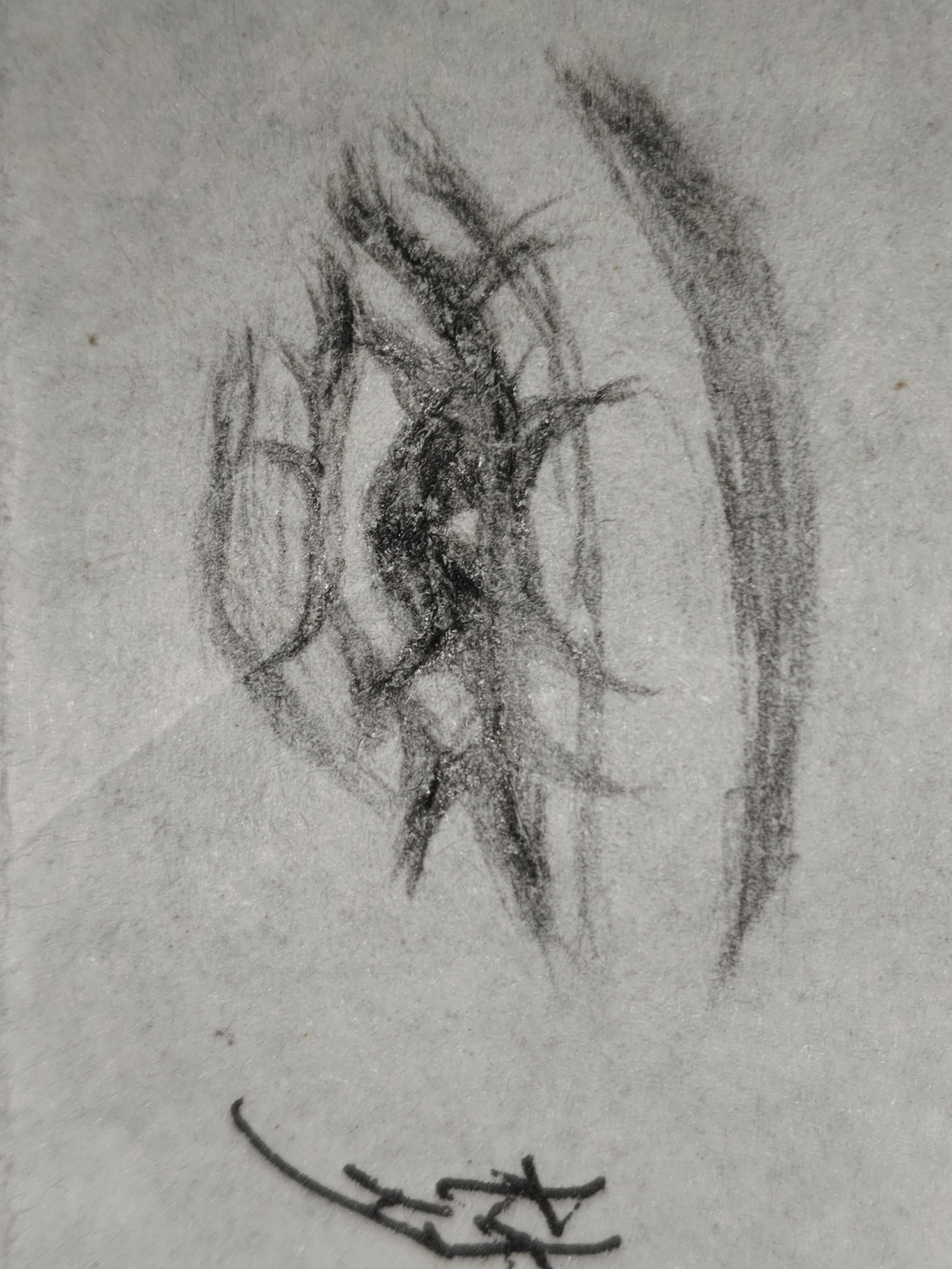 在学校里画的,我同学画的哪个好一些