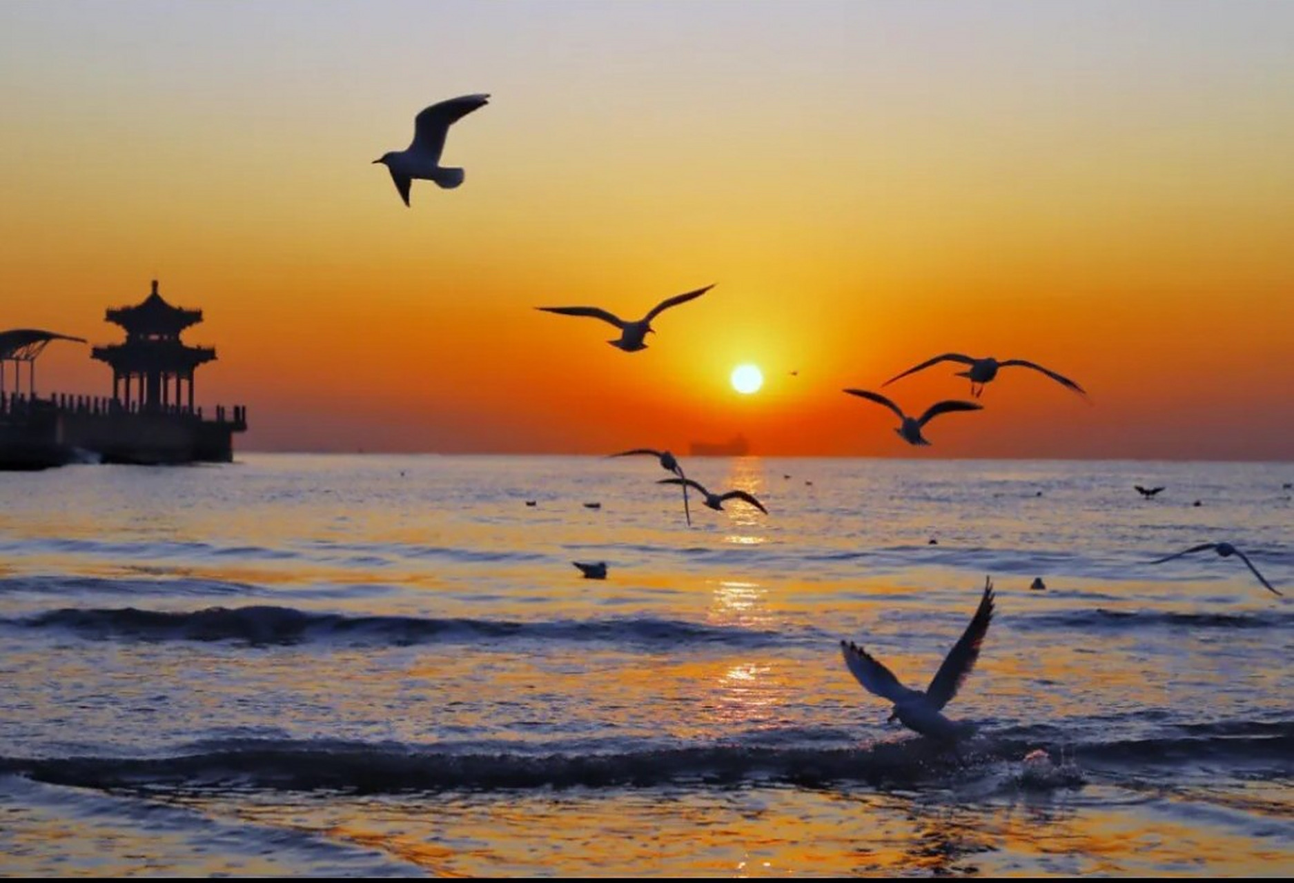 红日东升云水间,轻波倒映影成双.渔舟远去霞光里,海鸟低飞浅水边