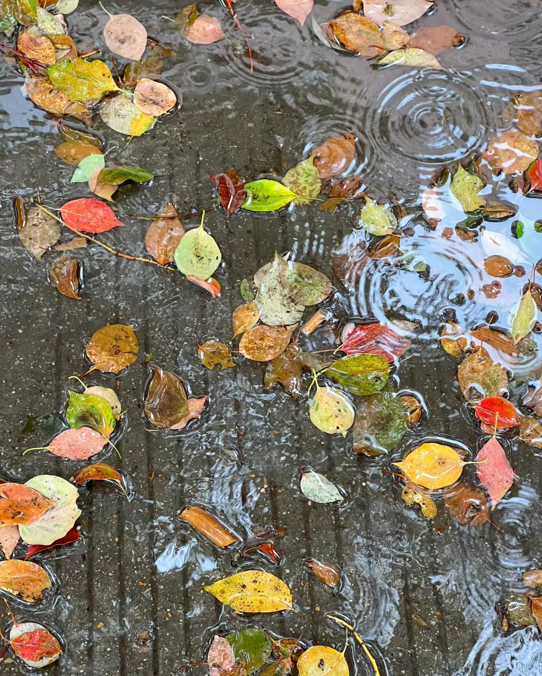 下雨时的场景 经典图片