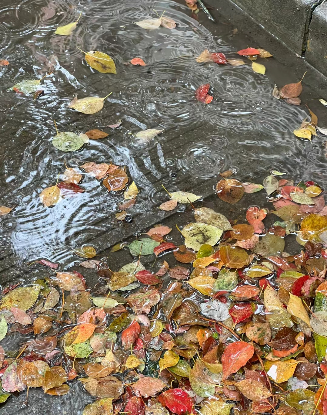 下雨时的场景 经典图片