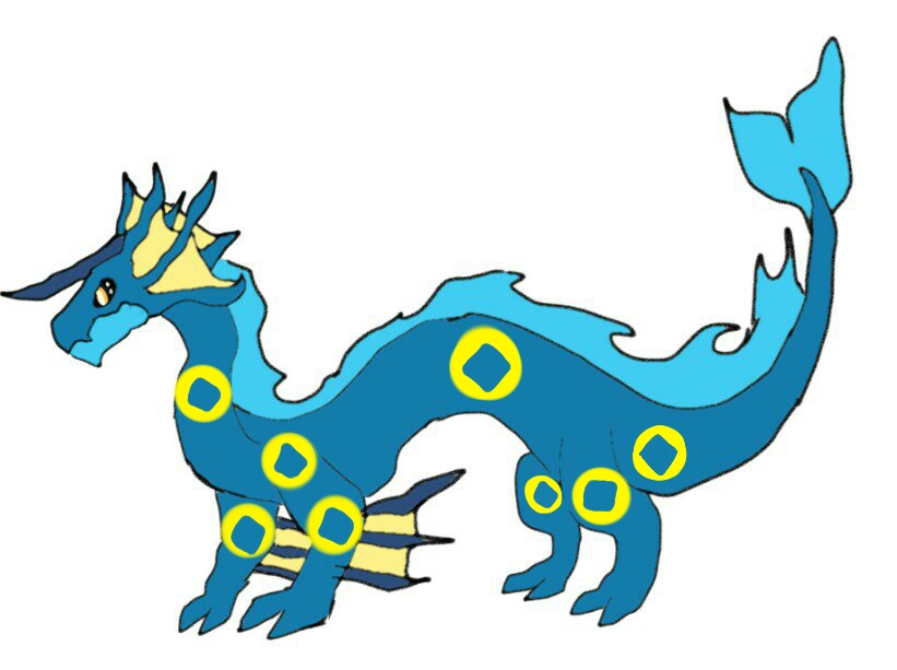 钱泉龙 龙 格斗 水龙宝可梦 可以带来钱财