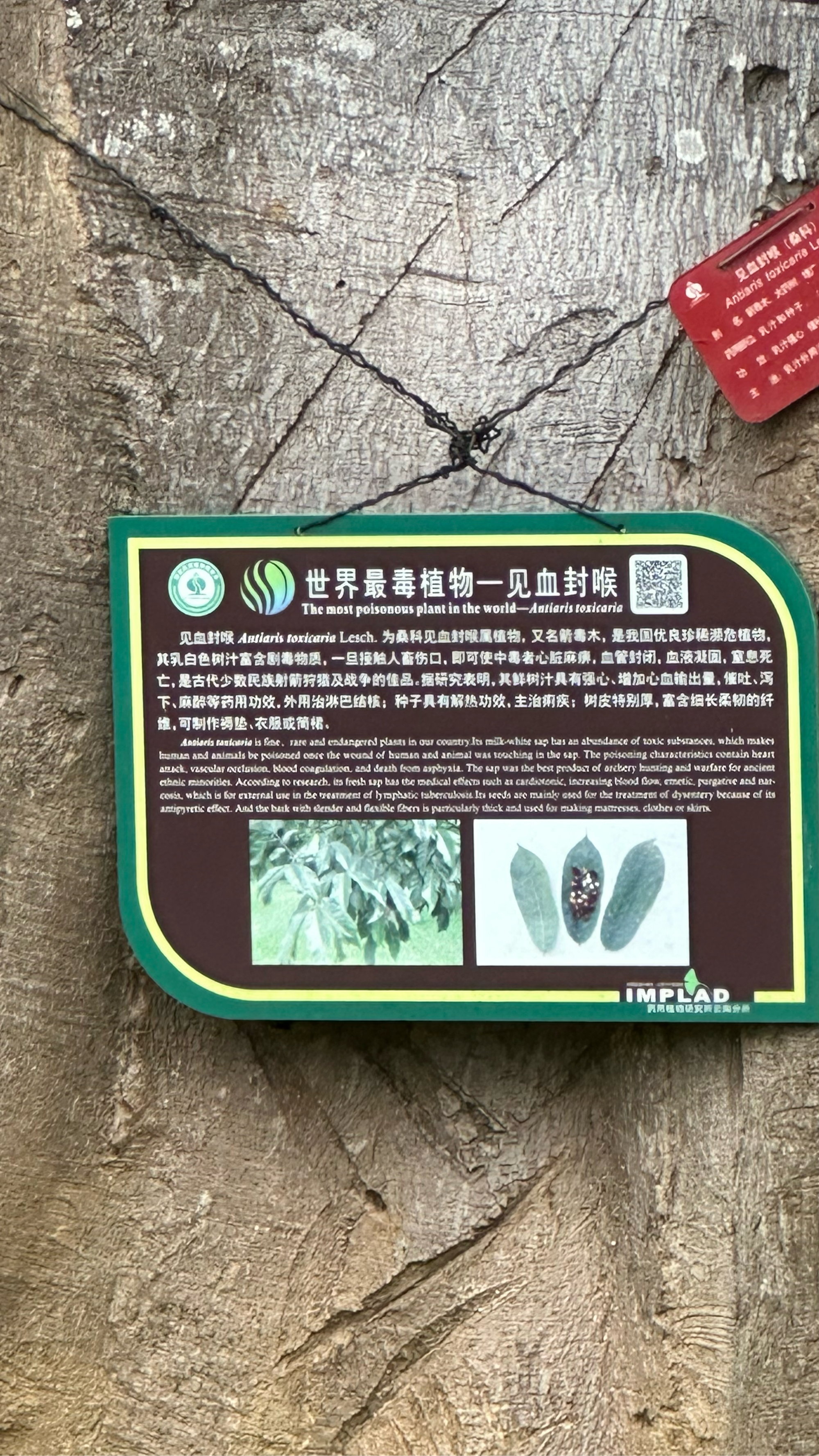 中国南药园图片