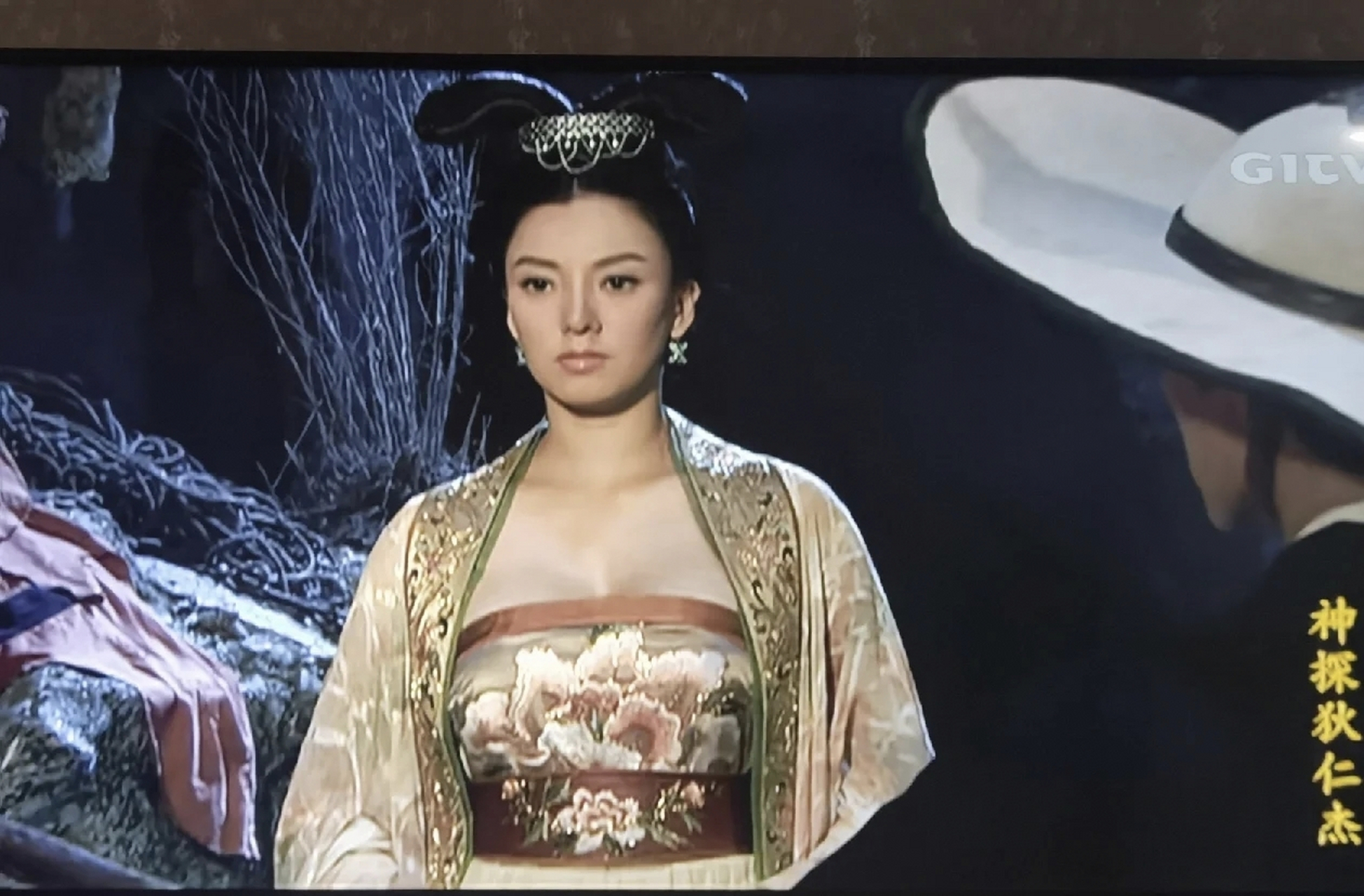 彭丹在胡军版天龙八部里演秦红棉,《神探狄仁杰》中演疯批公主金木兰.