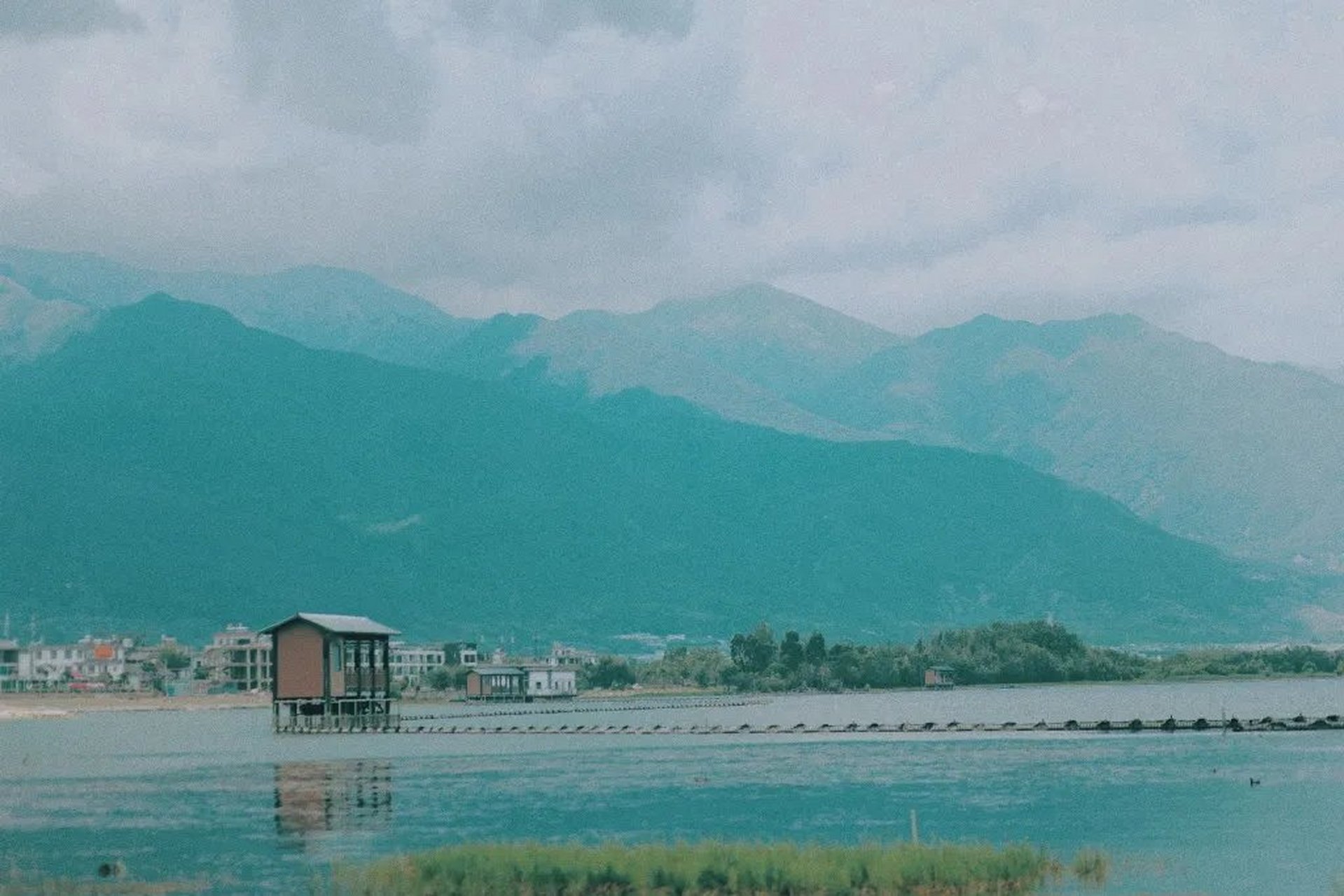 推文《独立电影人》作者:superpanda 熊猫太太的文,绝对有保障,文荒的