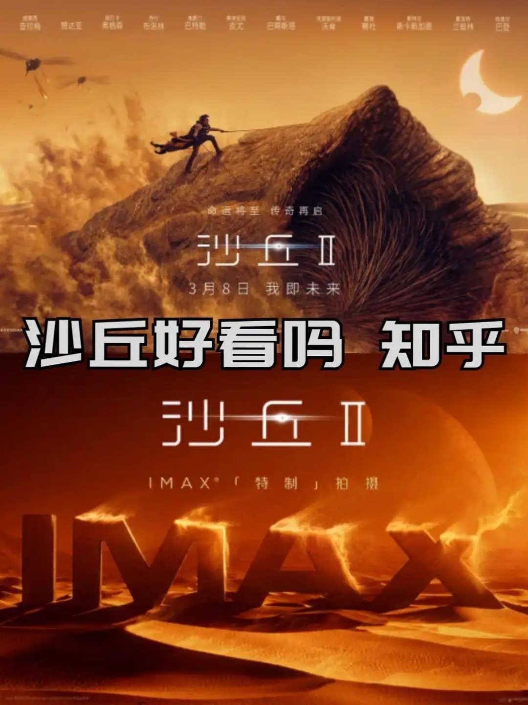 沙丘》(特指丹尼斯·维伦纽瓦2021年版)是一部极具争议的"作者性科幻"