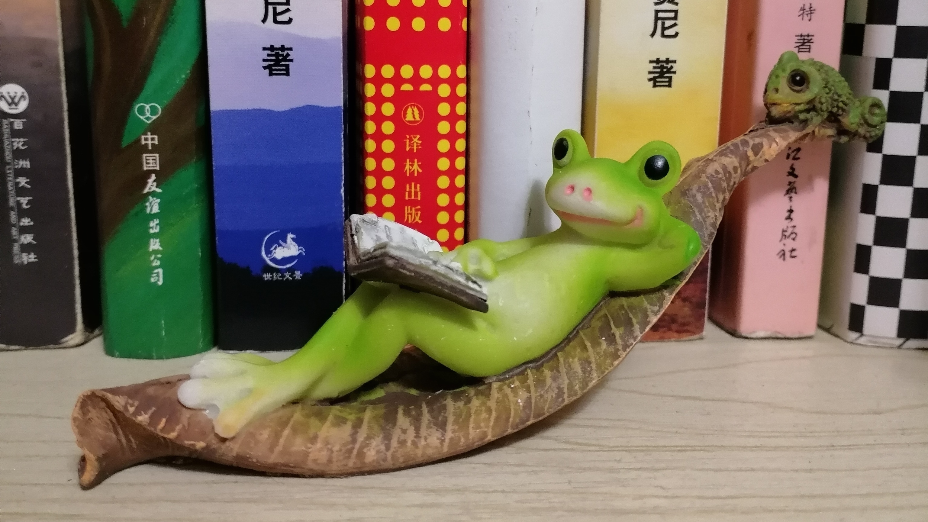 甭潭构耷 蛙