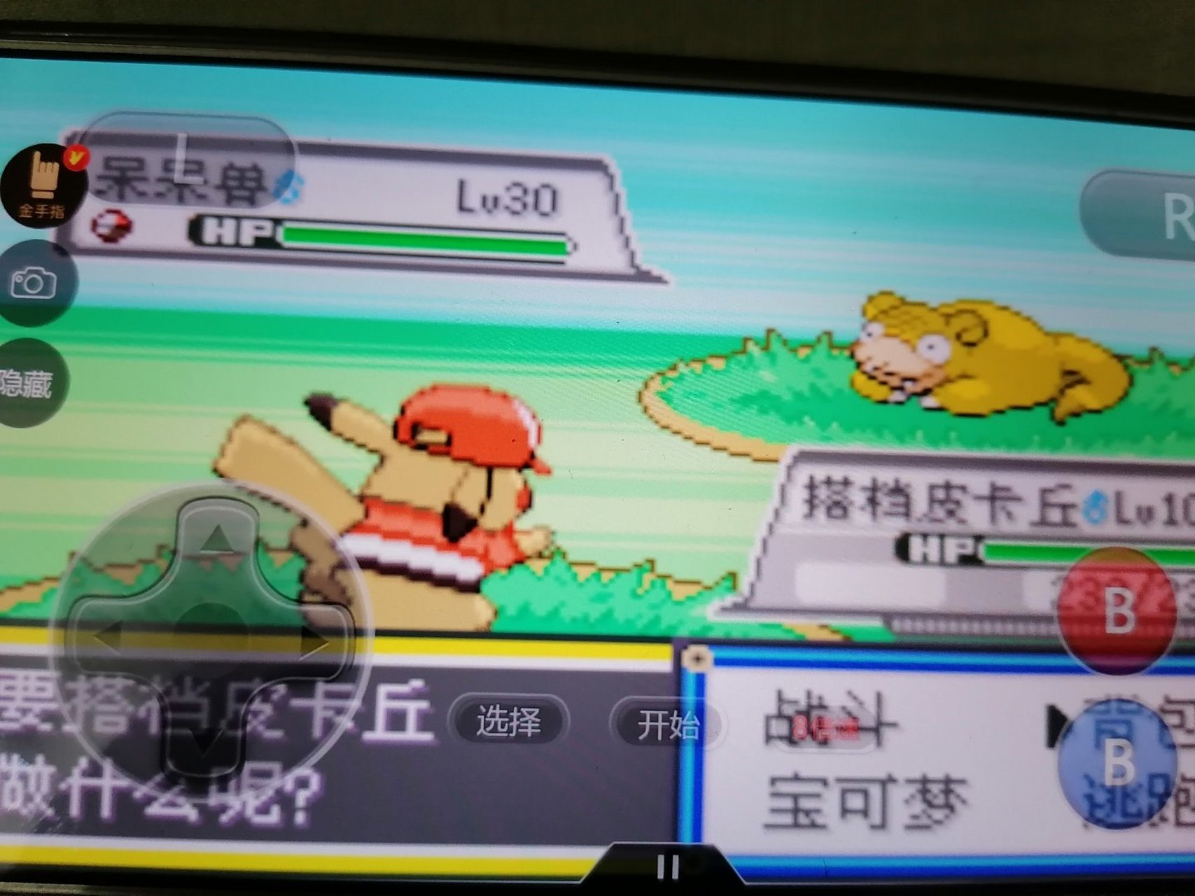 看是伽勒尔的闪光黄金黄金呆呆兽[滑稽]