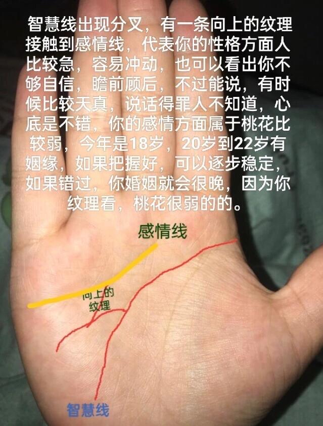 智慧线中间分叉两条图片