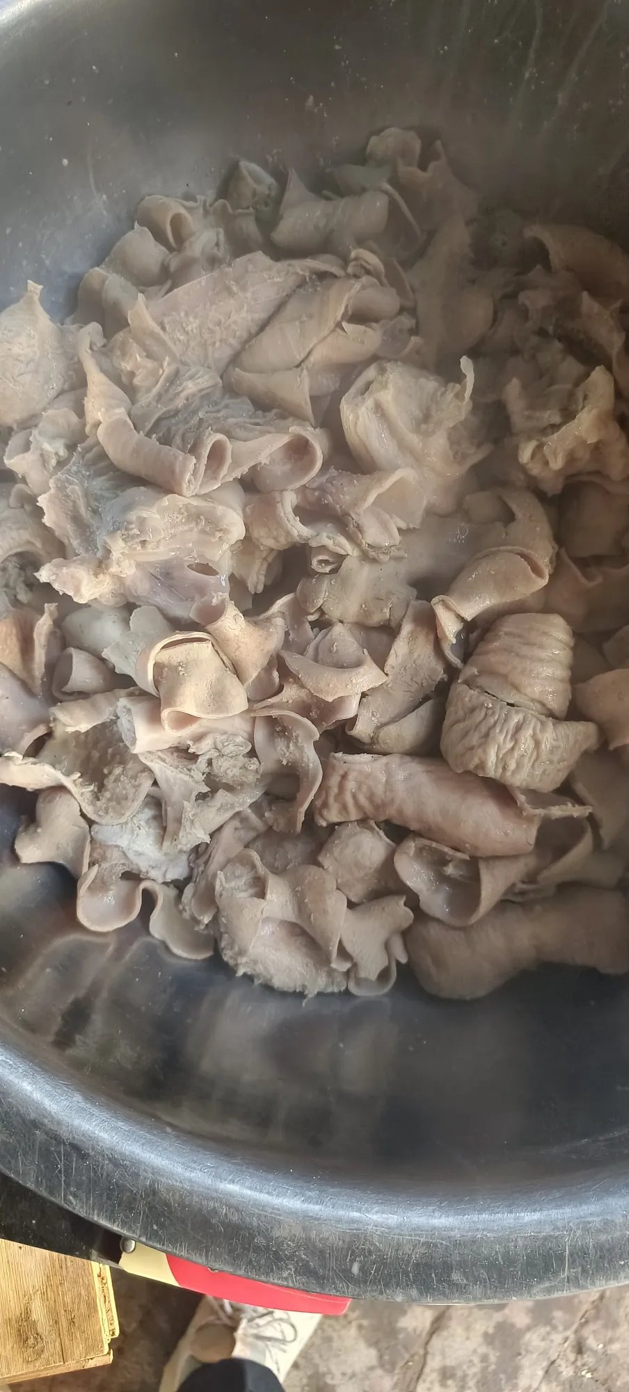 就是不知道叫啥,你们有谁认识的吗,知道叫什啥吗!