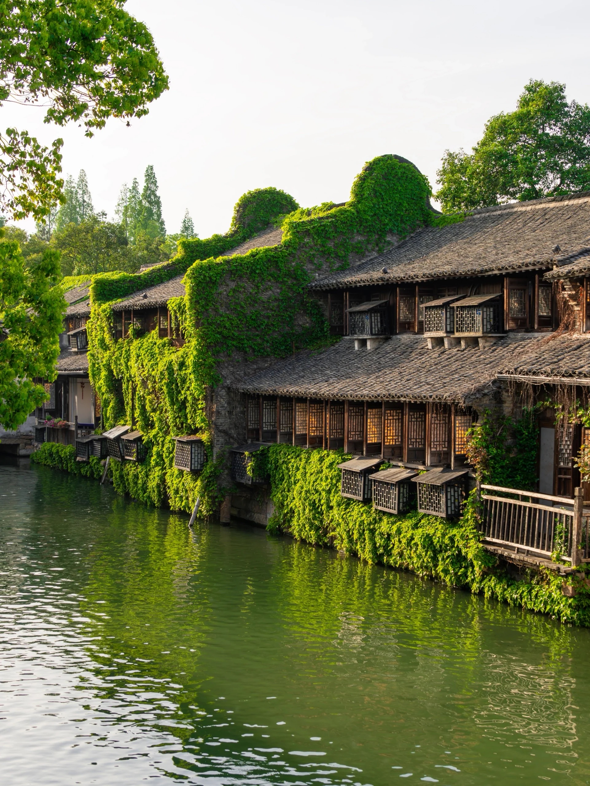 乌镇照片风景图片图片