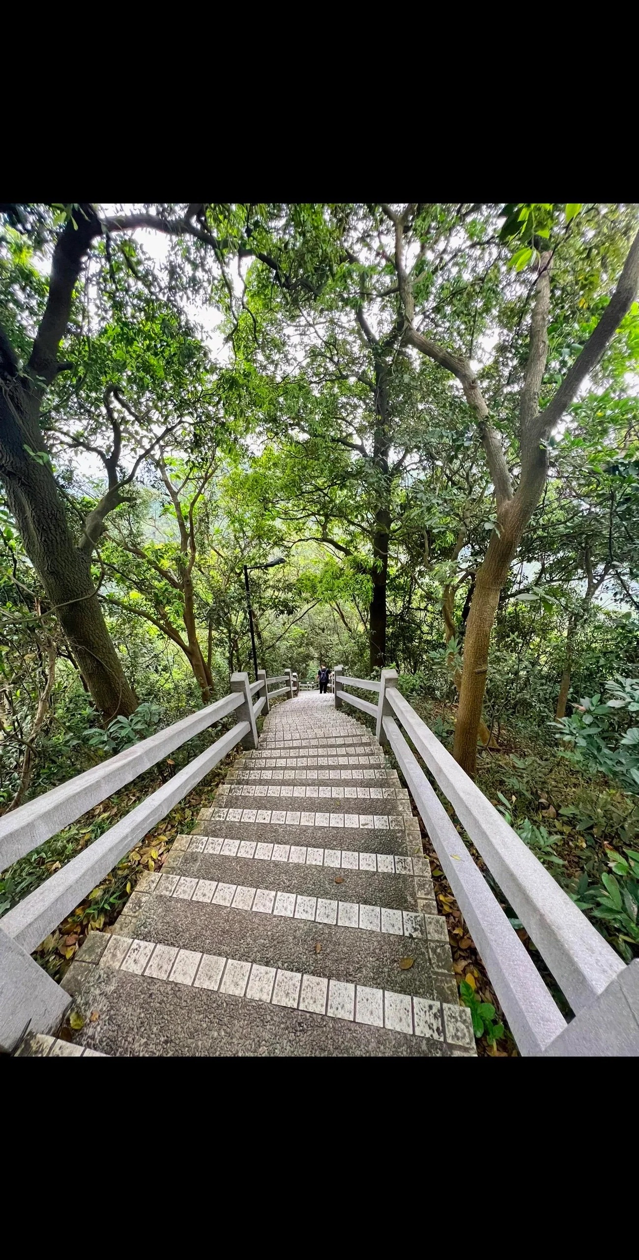 广州白云旅游景点图片