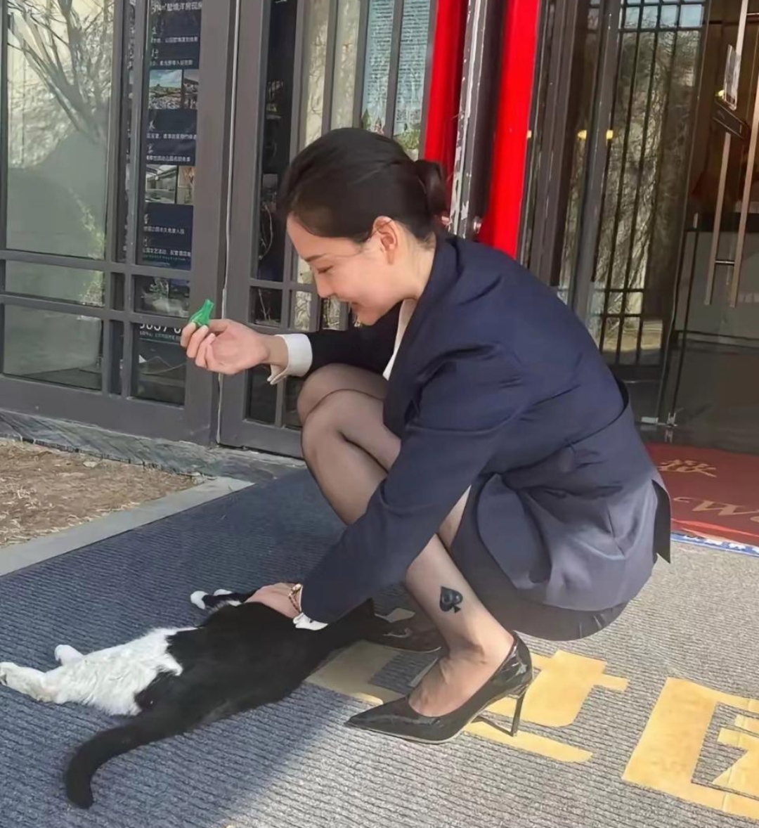 出去办事,在门口遇见一个小姐姐蹲着抚摸一只小猫咪,只见她的小腿纹着