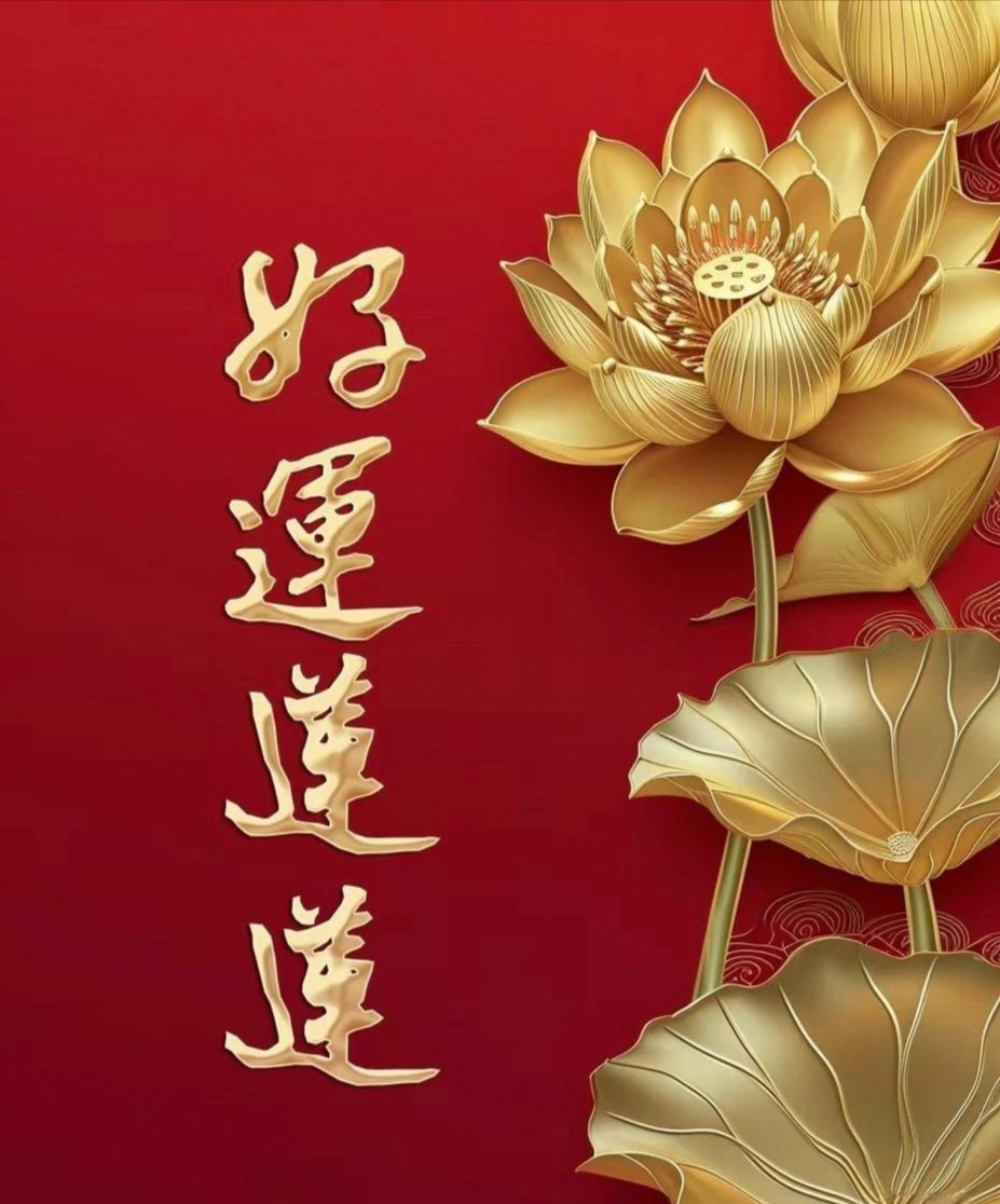 莲花上那四个字"好运连连",就像一盏指引的明灯,带