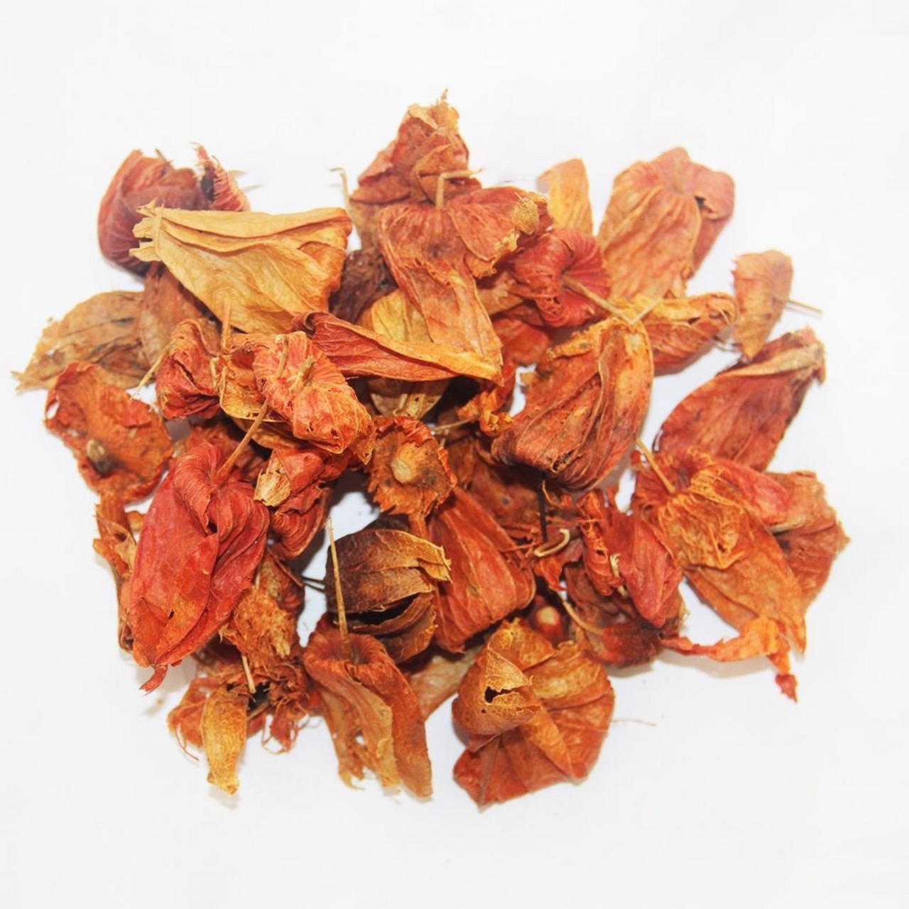 每日一中药:清热药 锦灯笼【别名】挂金灯,金灯笼,酸浆实,灯笼草,红