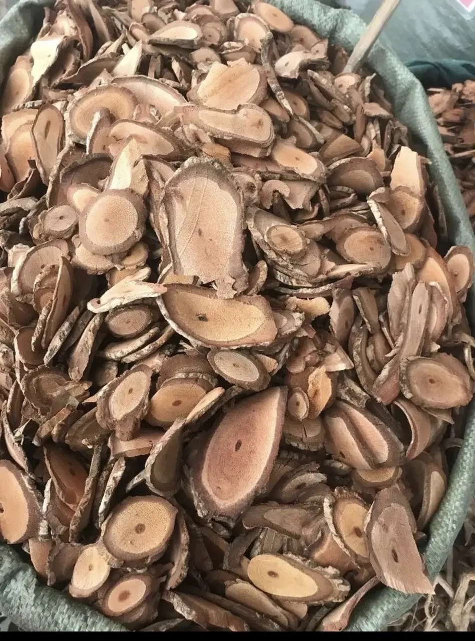 每日一中药:祛风湿药  海风藤【别名】风藤,大风藤,老藤,岩胡椒.