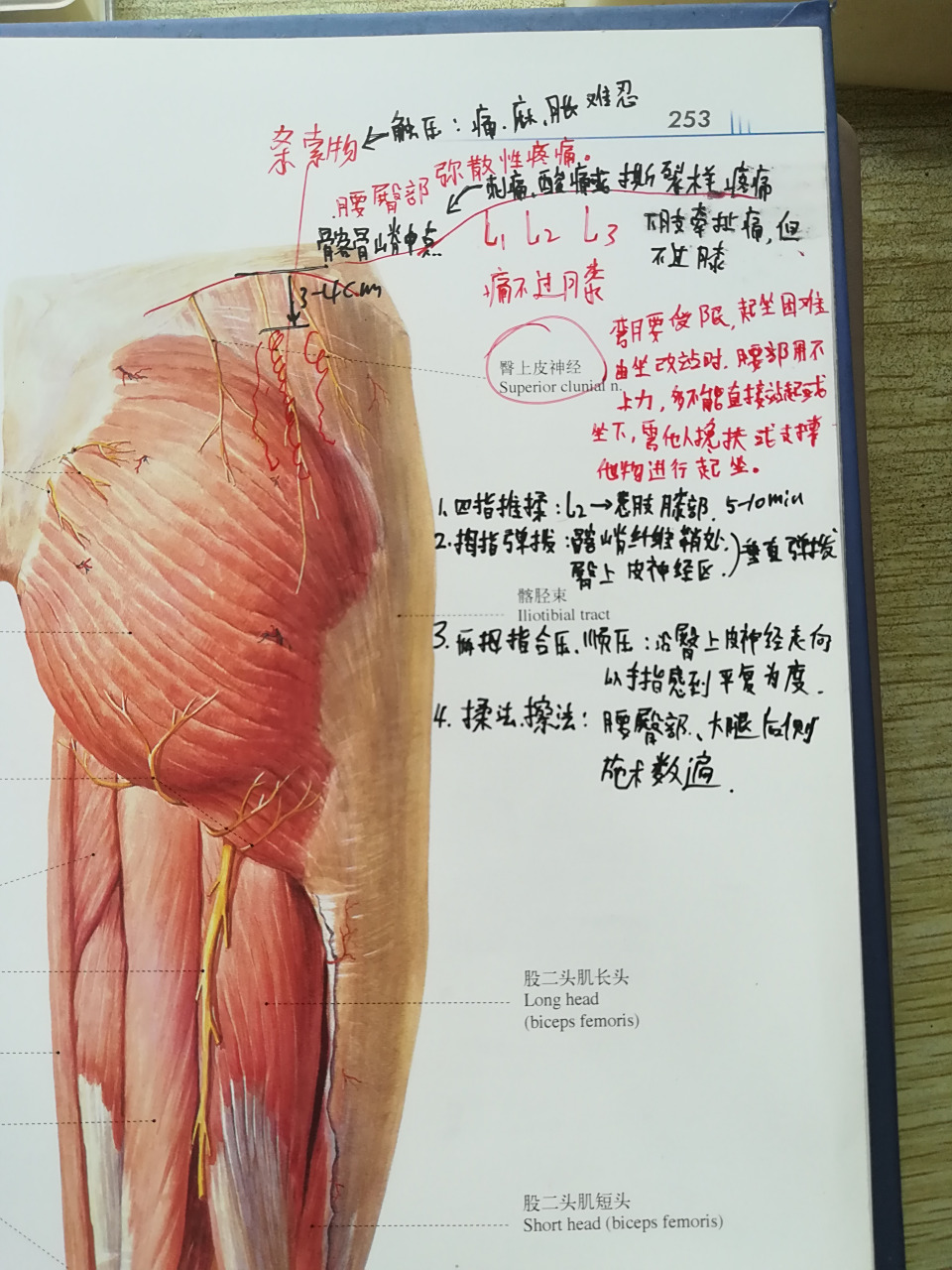 健康人生# 腰疼按摩之一,《臀上皮神经受损》,其起源于腰123神经侧枝