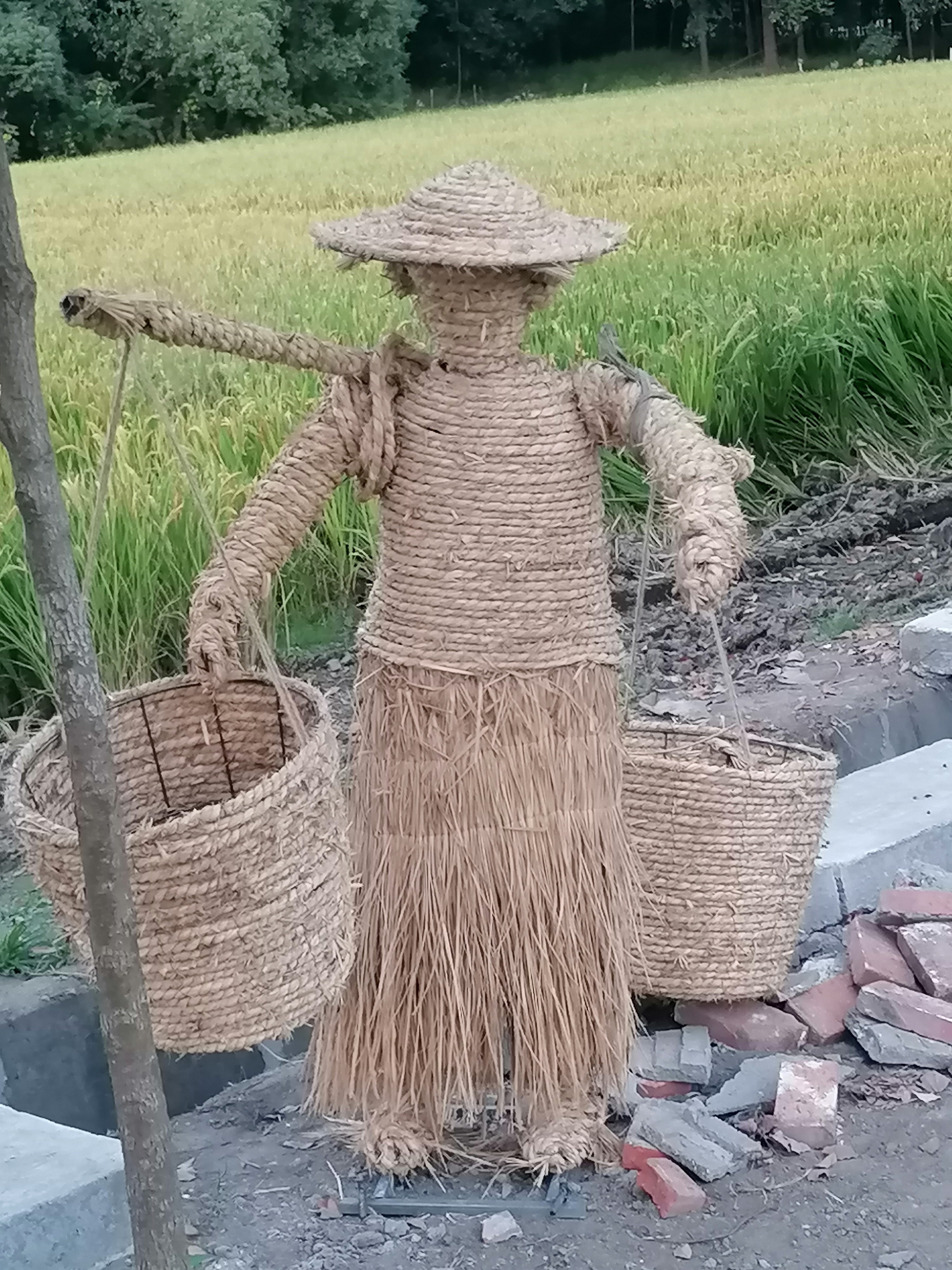 苏州吴江水稻田旁的稻草雕塑很有灵性 好喜欢这个用稻草编织的农民