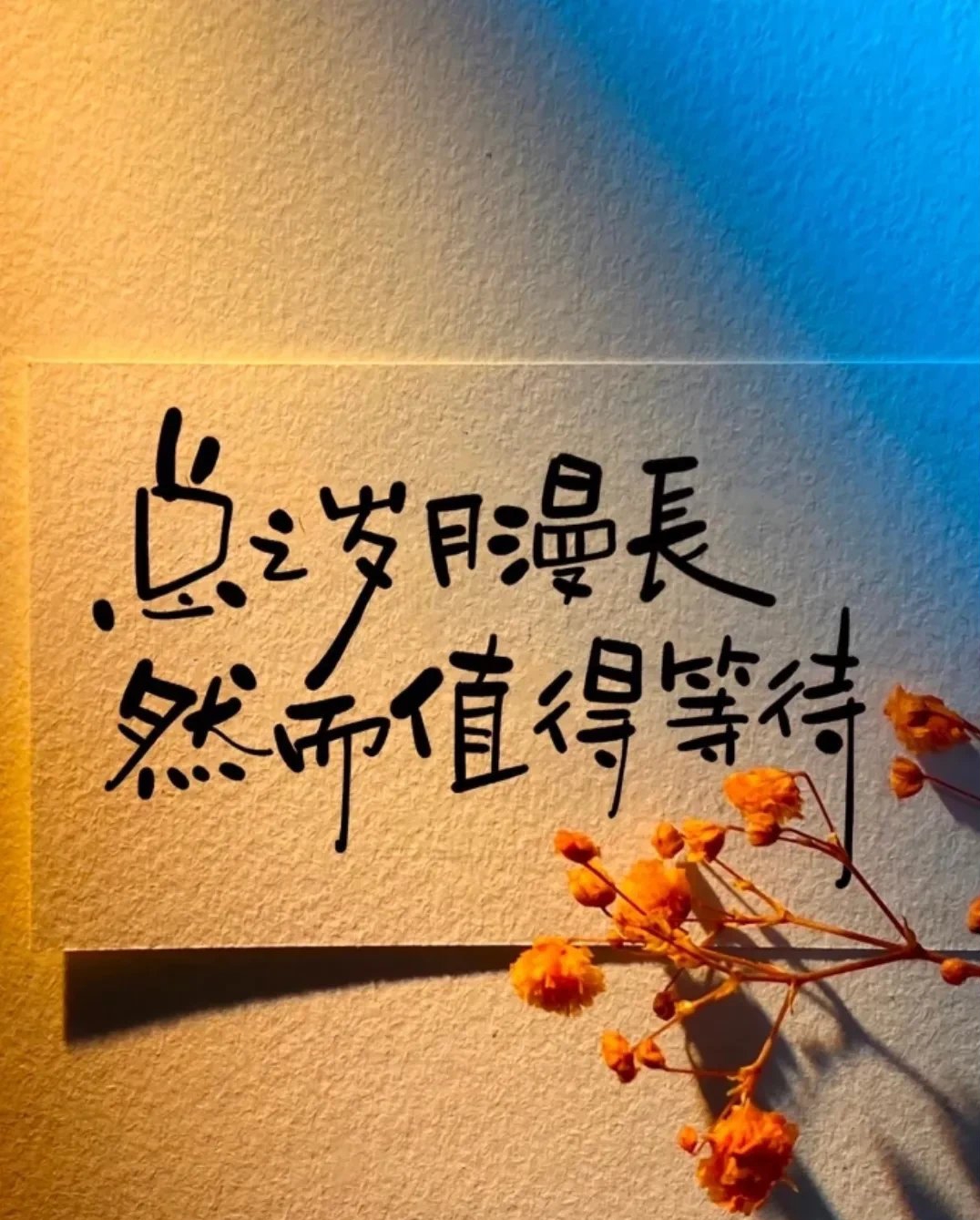 佛学人生感悟经典句子,看完让人受益终身!