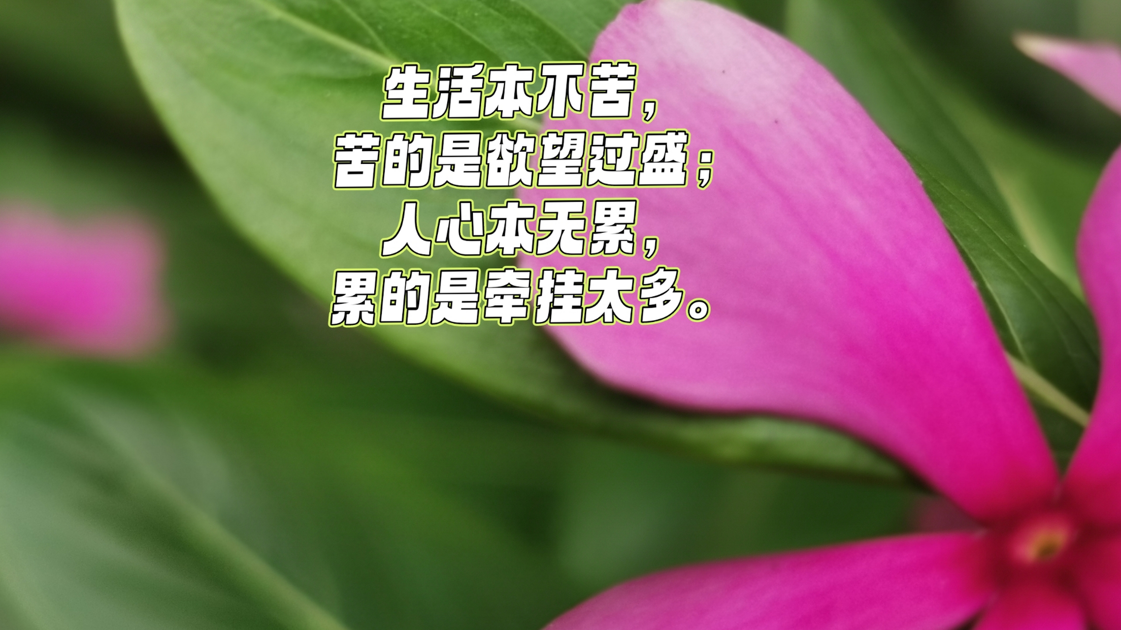 生活本不苦,苦的是欲望过盛;人心本无累,累的是牵挂太多.#情感微语录