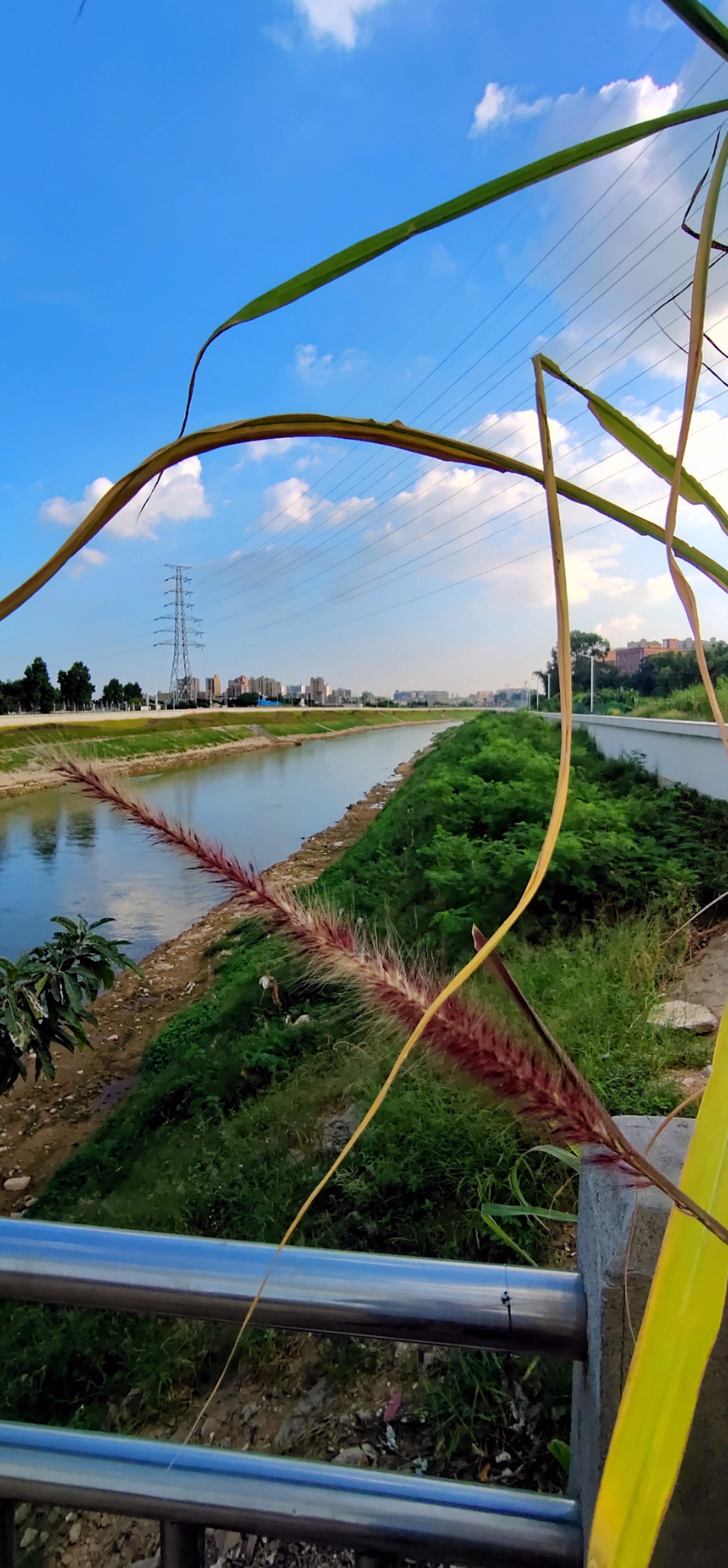 秋天河边风光,河水映照着蓝天白云,波光粼粼,交相辉映,赏心悦目.