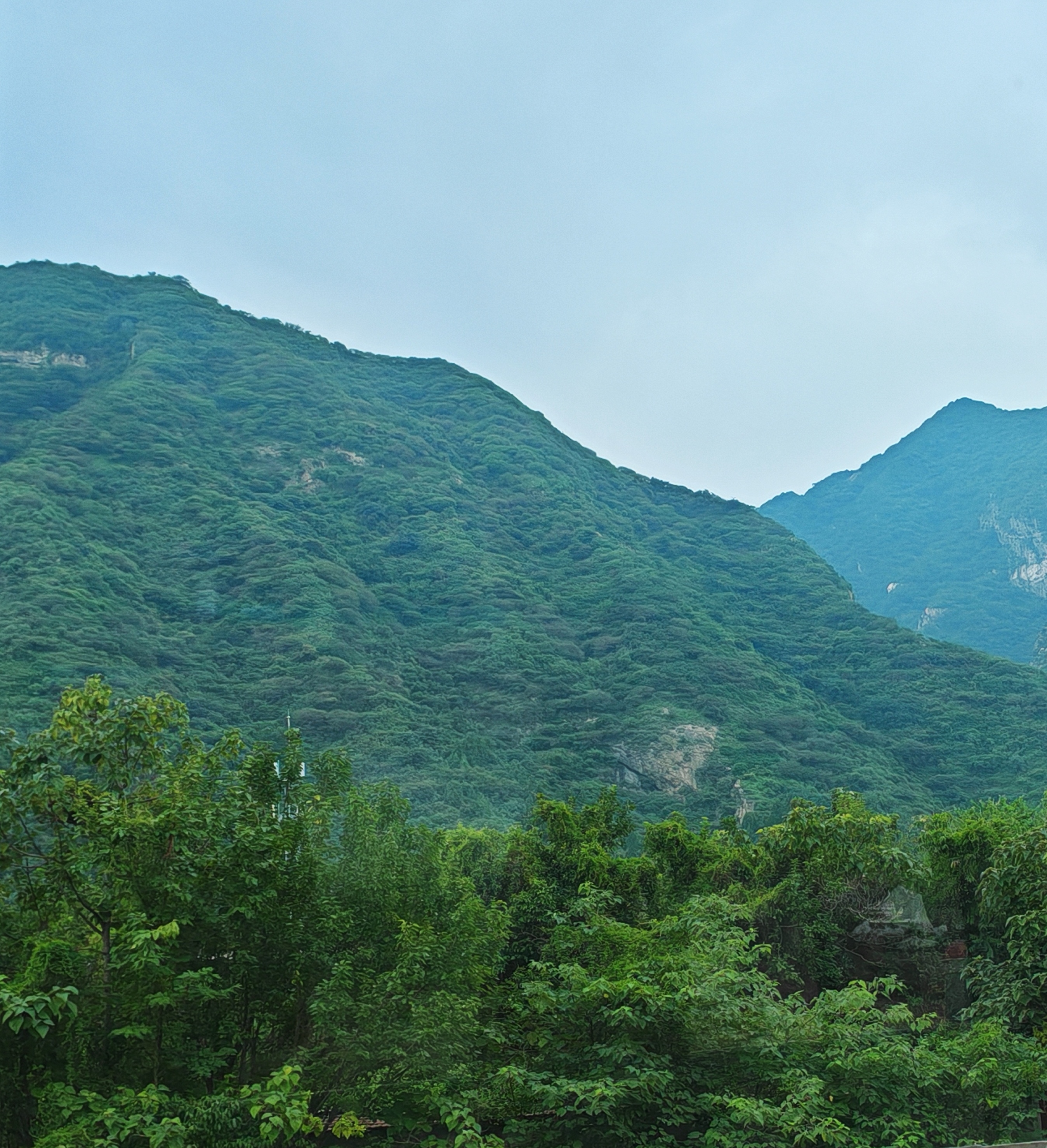 青绿腰险峰图片