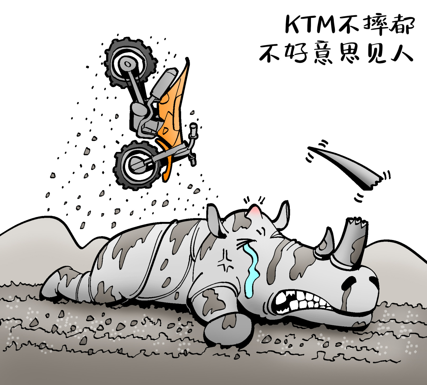 哈雷笨重,杜卡迪烤蛋,本田太低调,宝马摔不起,ktm不摔不好意思见人,而