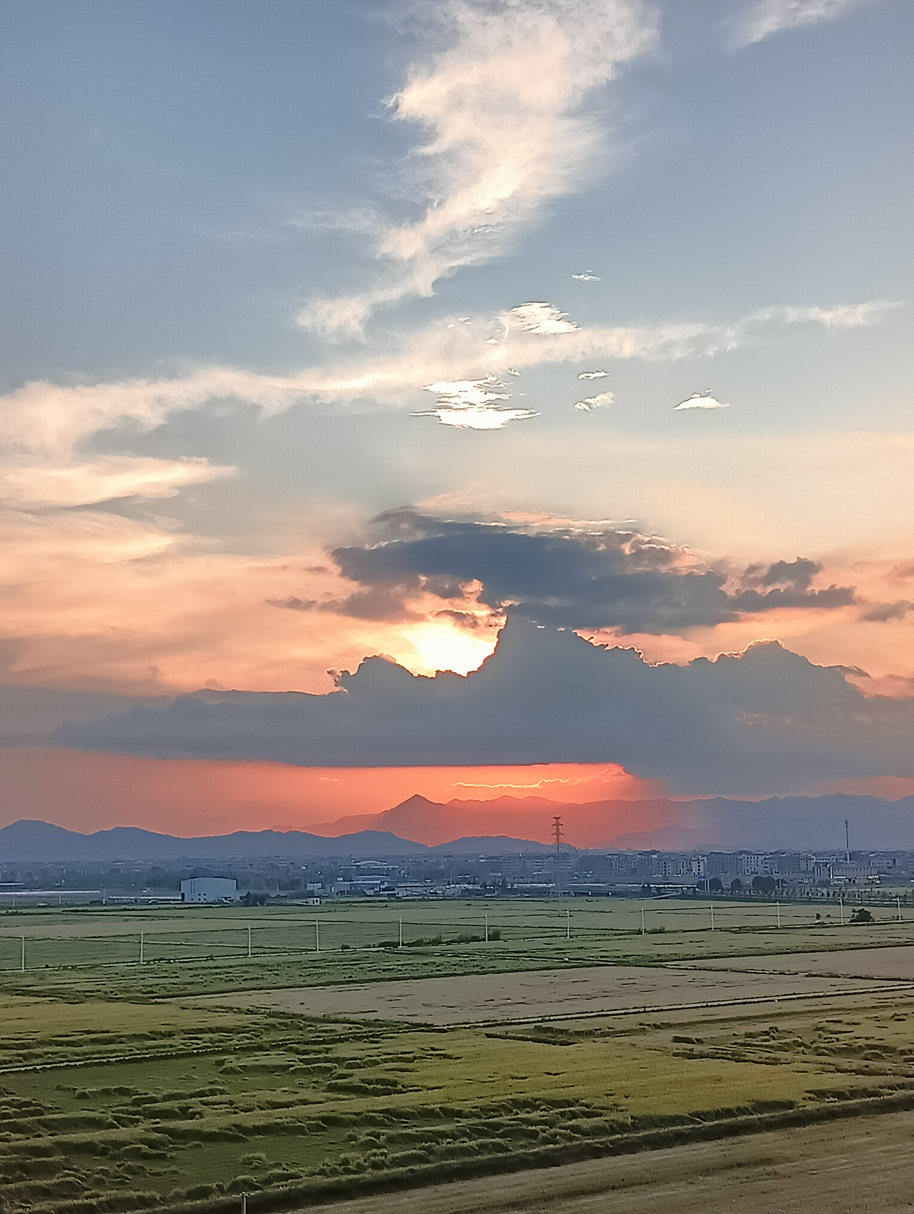 在洛溪的岸边,我独自享受这宁静的午后,河水波光粼粼,仿佛在诉说着