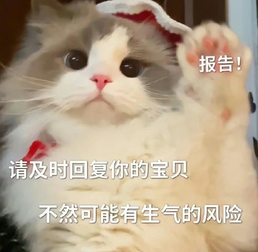 燃起来了猫咪表情图片