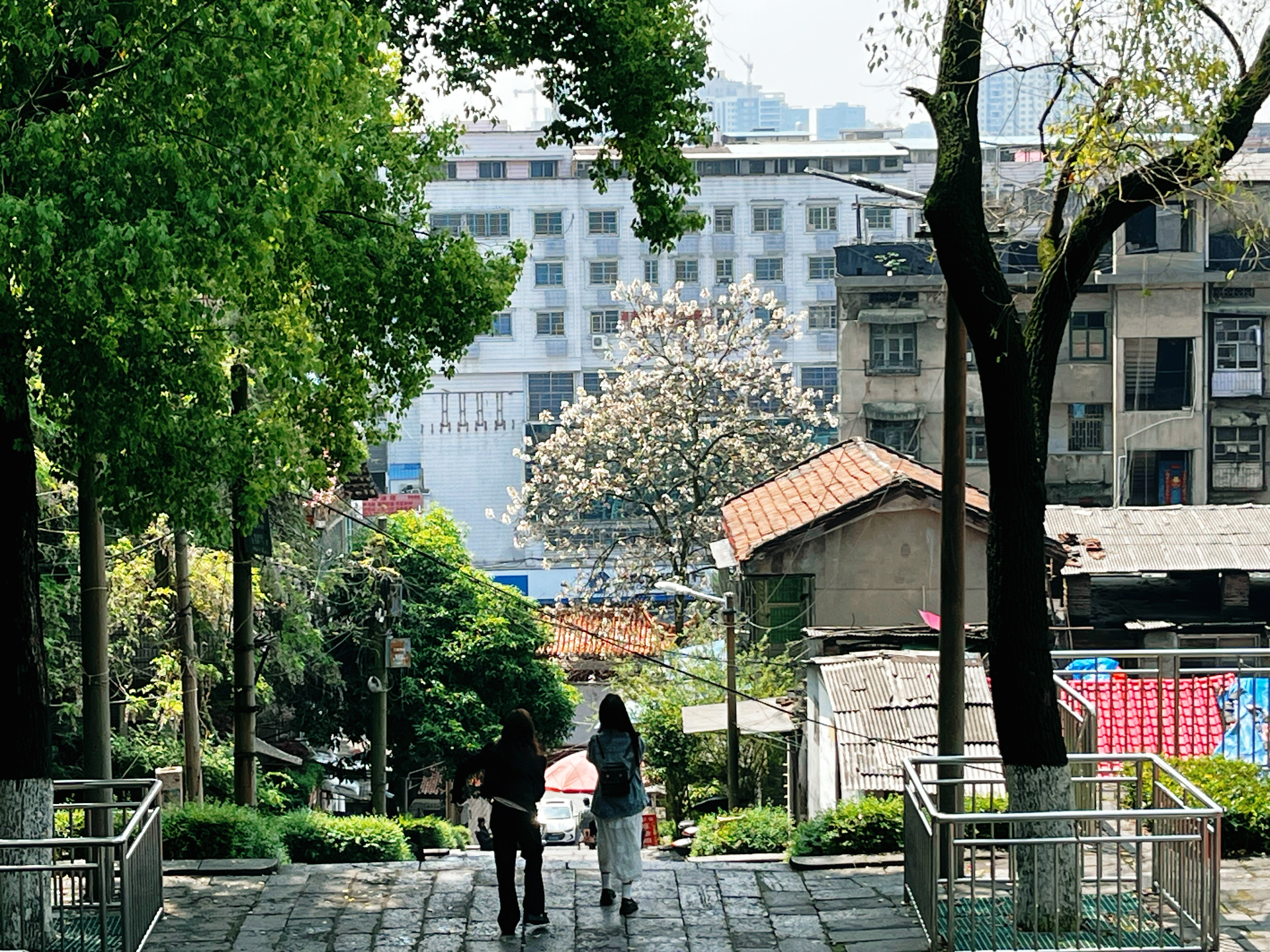 一场雨后的邵阳市东塔公园,静谧而美好