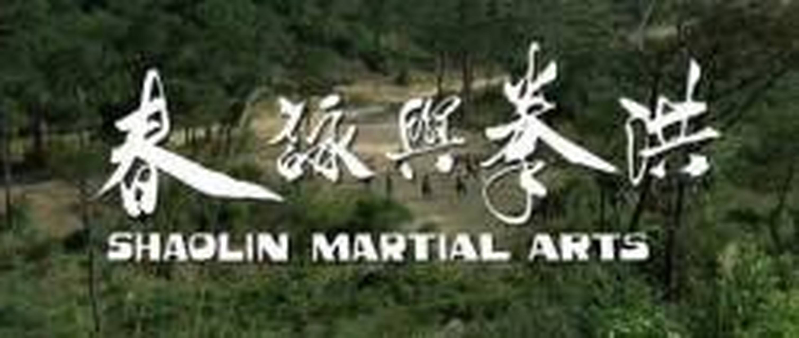 电影热搜指南# 《洪拳与咏春》不得不看的经典武打动作片.