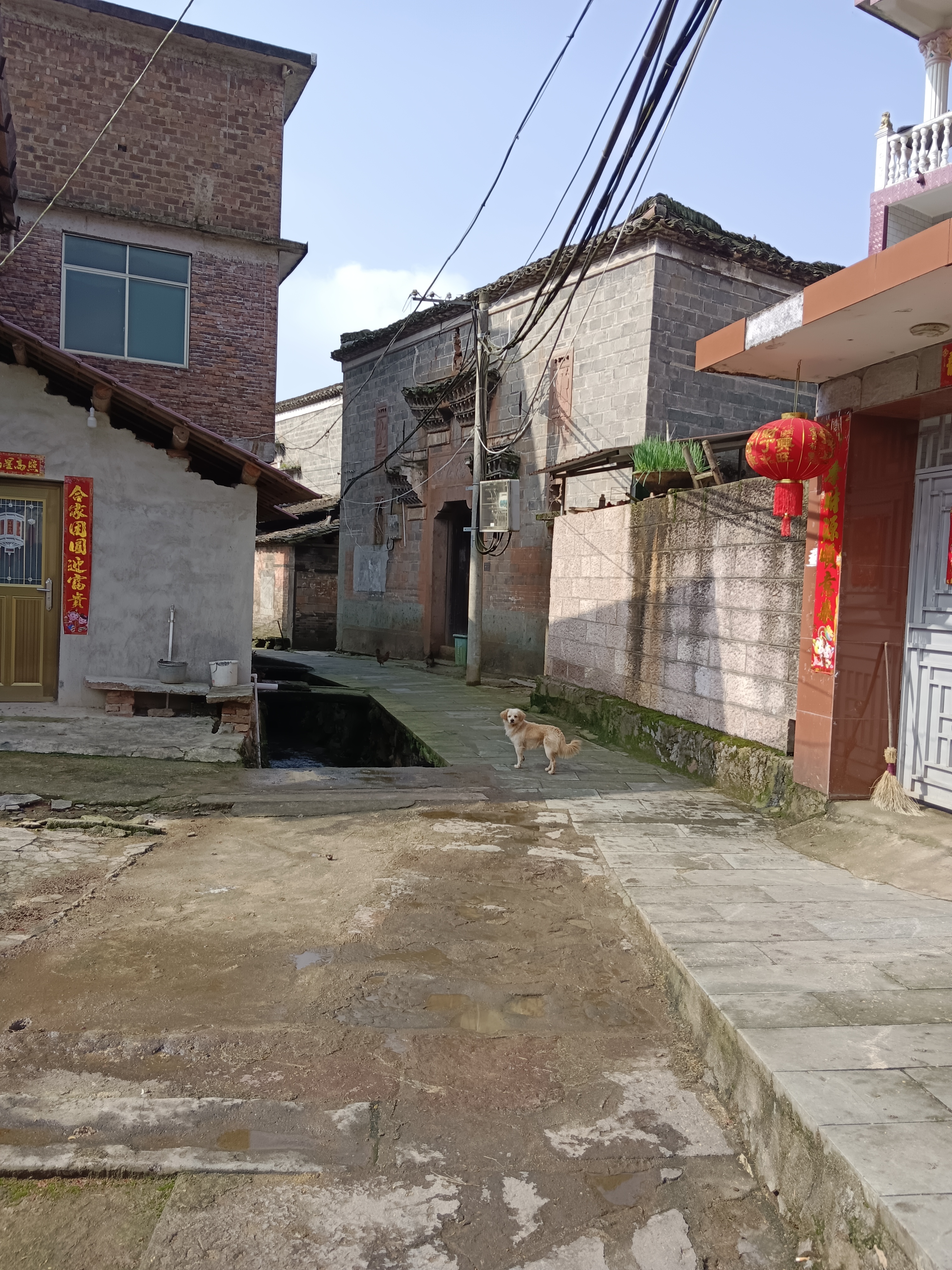 江西抚州东乡区瑶圩乡万石塘村