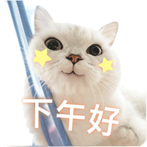 各位网友下午好,6张下午好美图送给你,阳光照进窗台,温暖了我的心房.