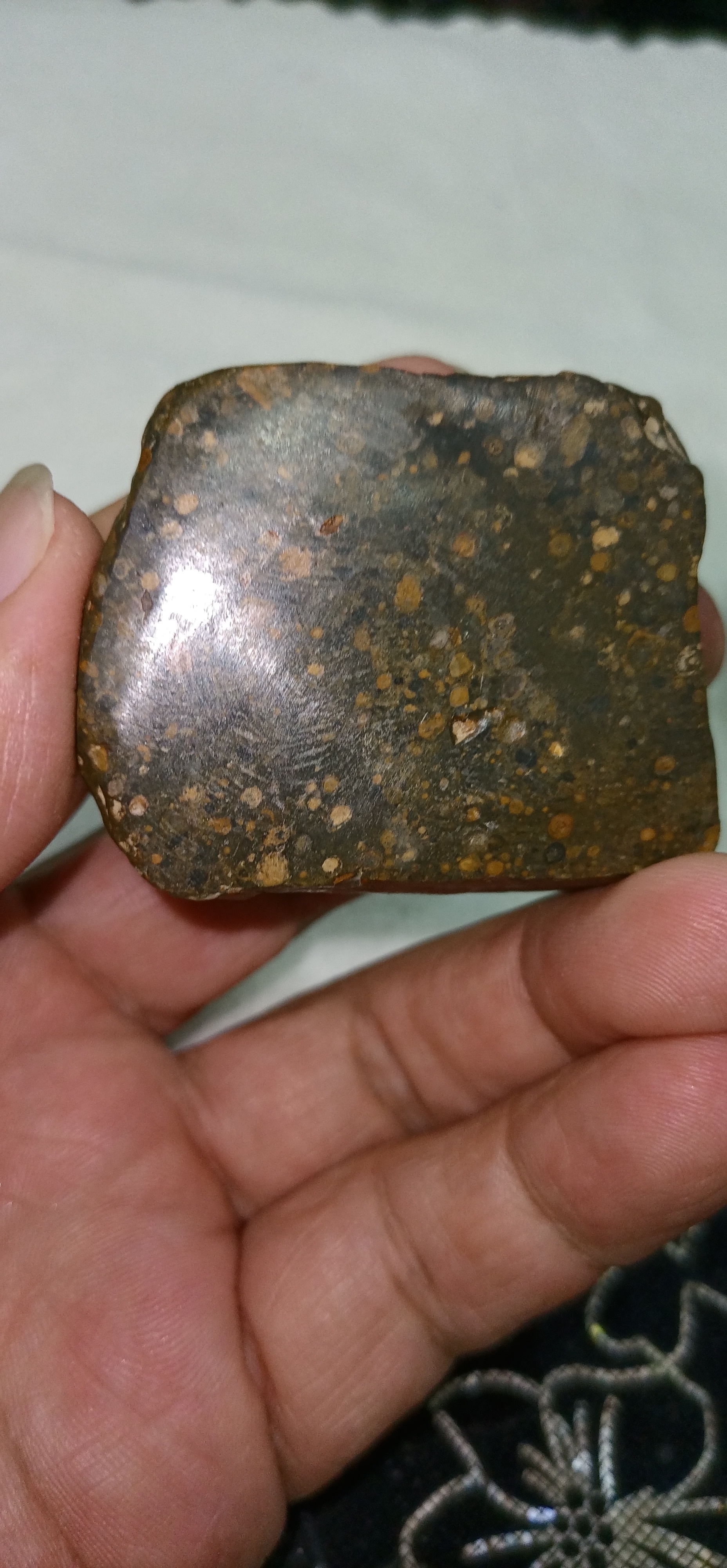 大汶河碳质球粒陨石切片欣赏 #陨石