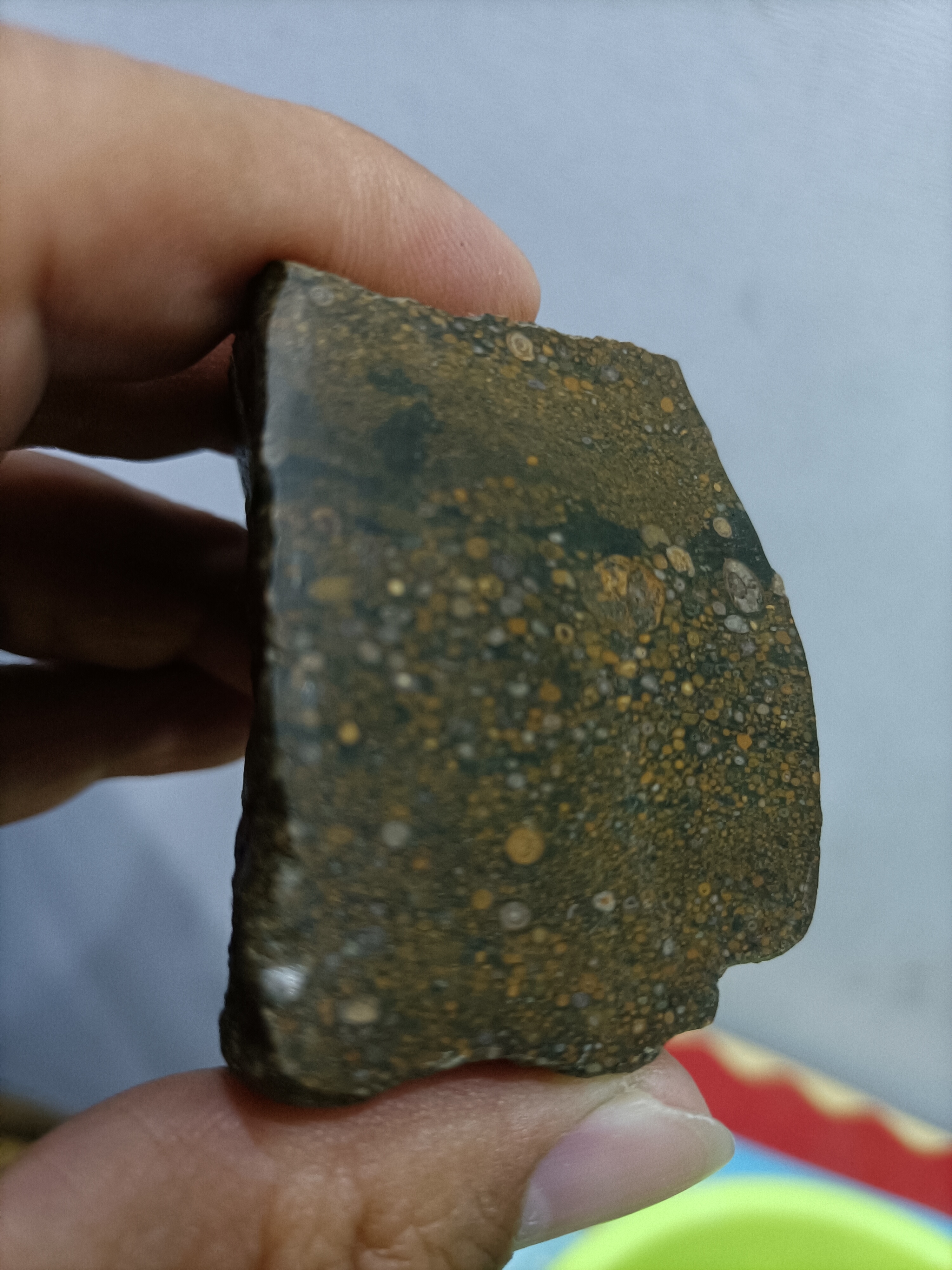 大汶河碳质球粒陨石切片欣赏 #陨石