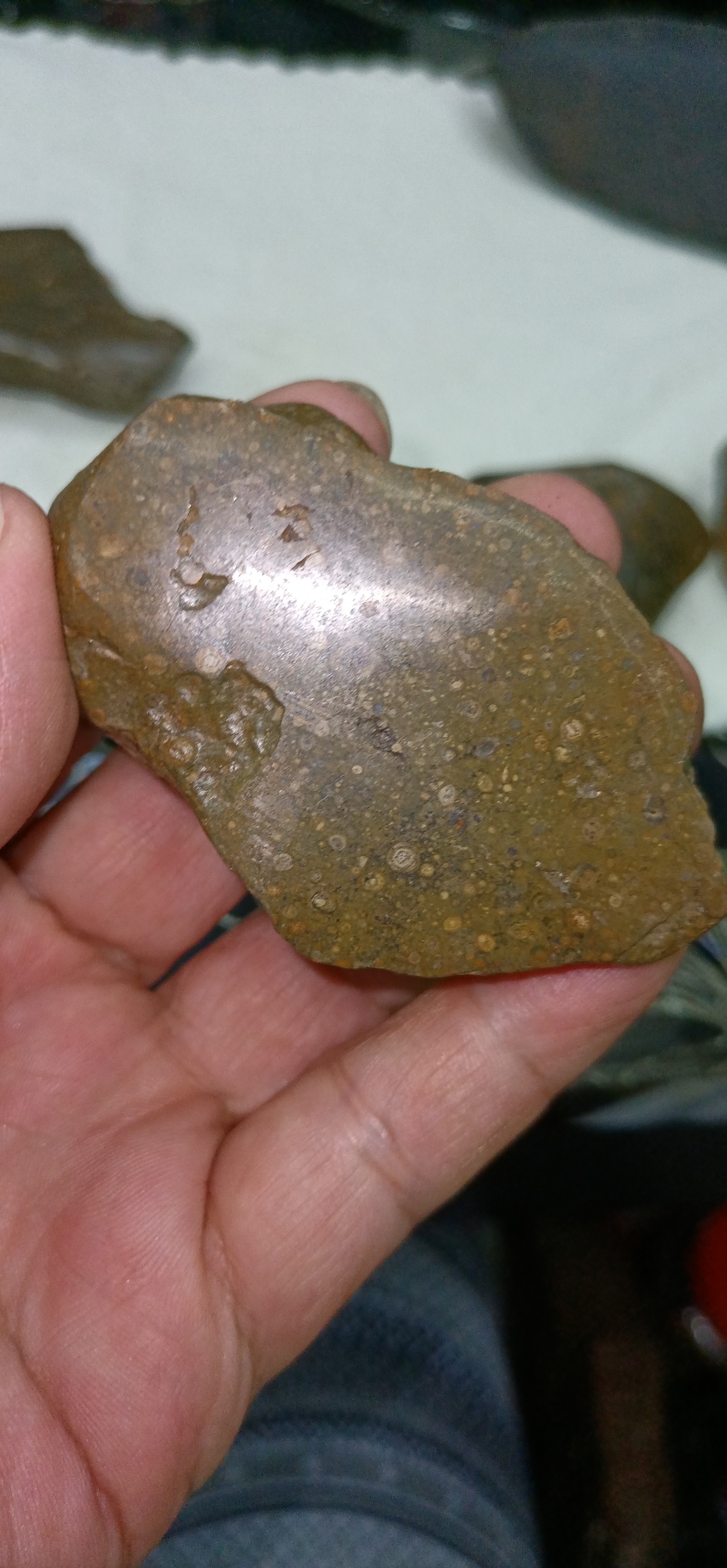 大汶河碳质球粒陨石切片欣赏 #陨石