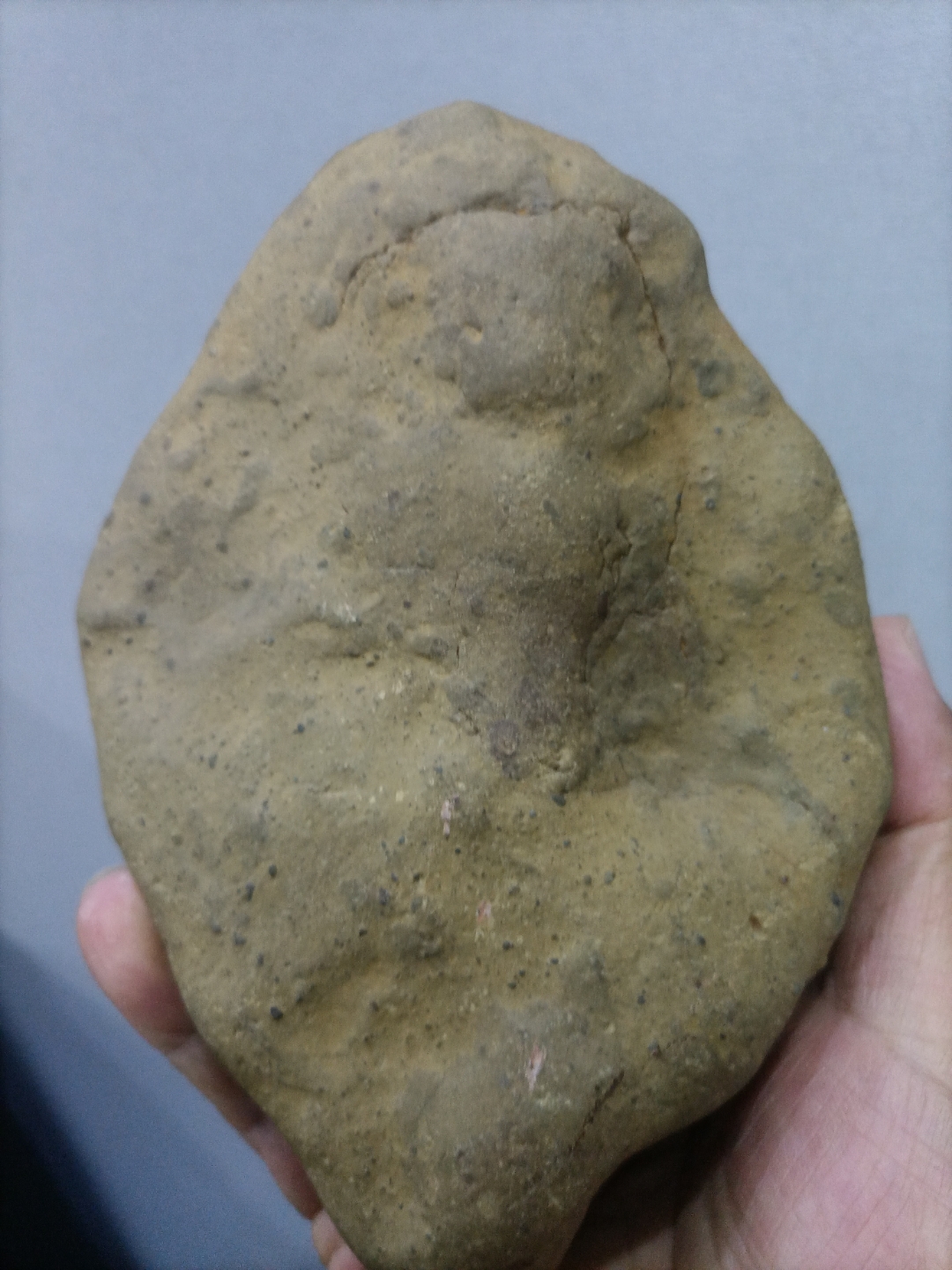 泰安发现一枚精品陨石,大汶河陨石#陨石